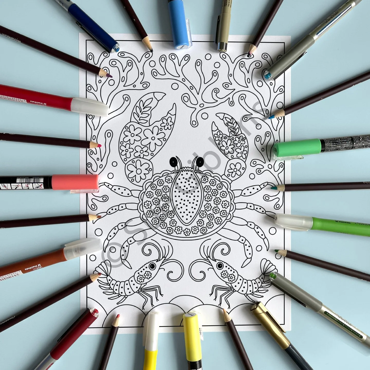 A4-PencilPen-Colouring_Crab-Shrimps.jpg