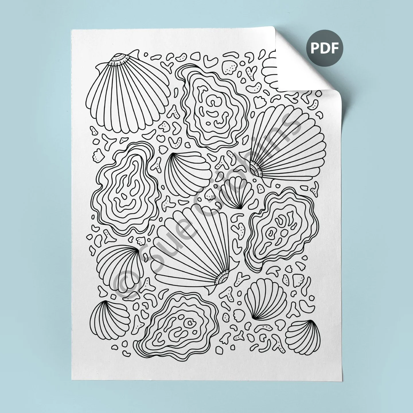 US-Coloring-Page-corner_Oyster-Shells.jpg