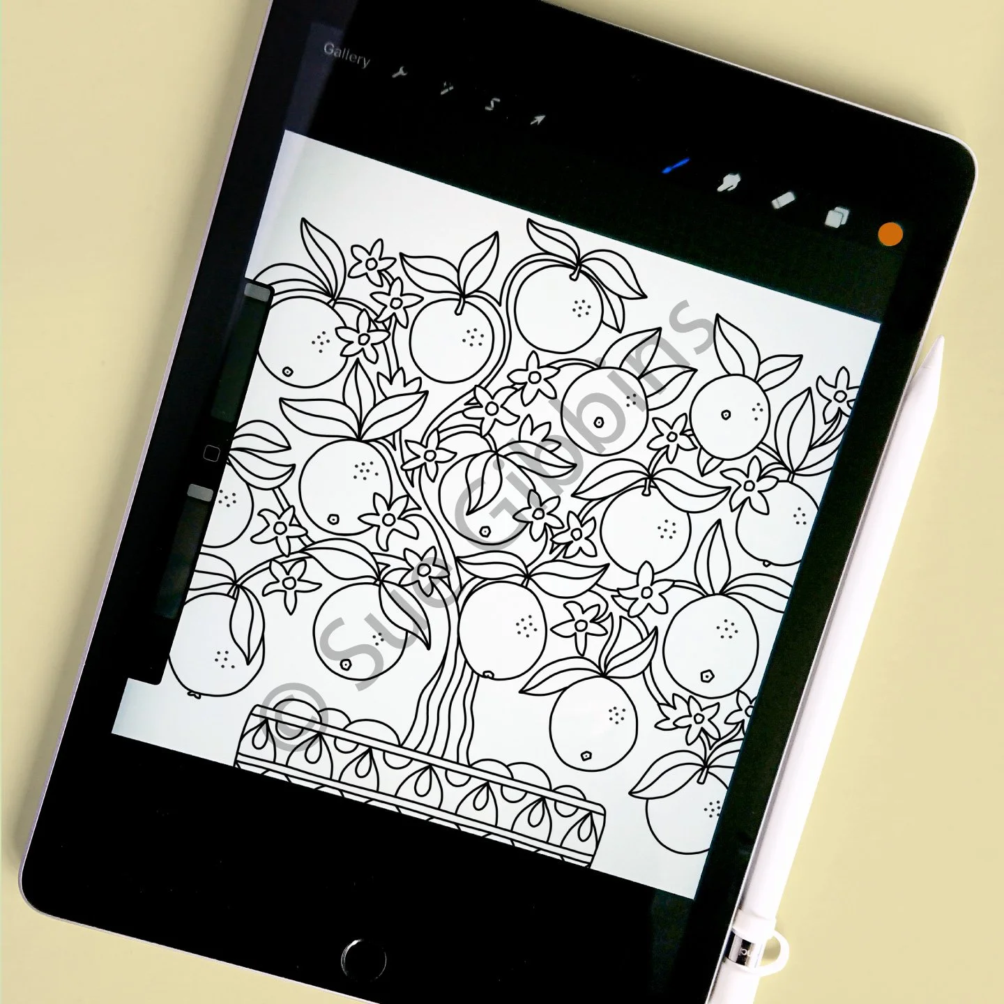 iPad-Colouring_Orange-Tree.jpg