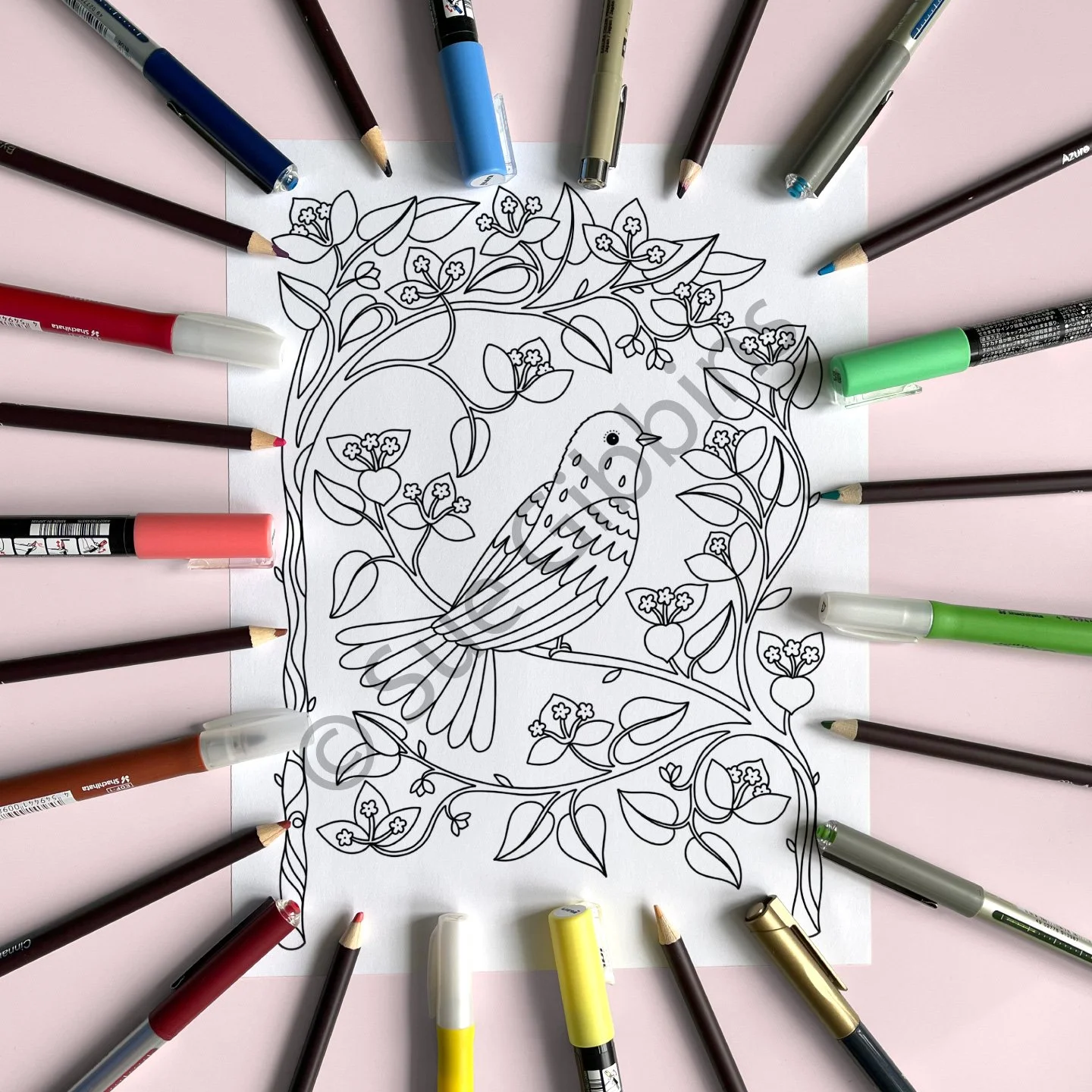 US-PencilPen-Coloring_Boug-Bird.jpg