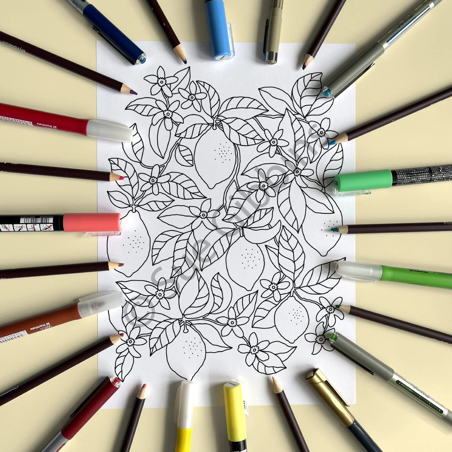 A4-PencilPen-Colouring_Lemon-Tree.jpg