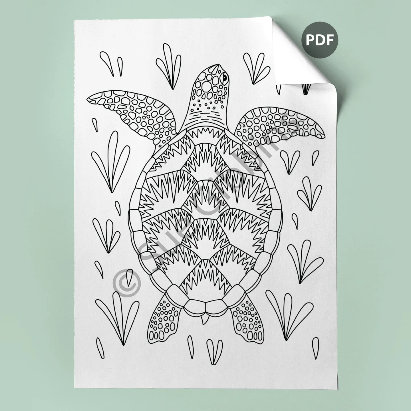 A4-Colouring-Page-corner_Turtle.jpg