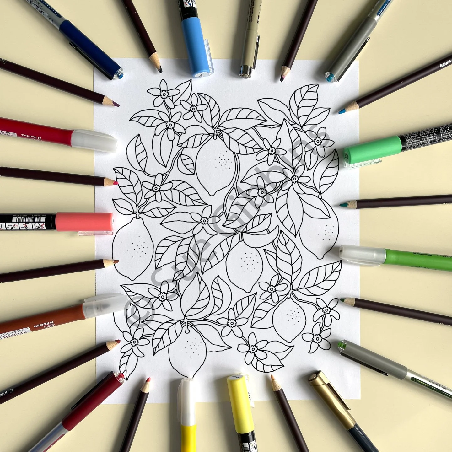US-PencilPen-Coloring_Lemon-Tree.jpg
