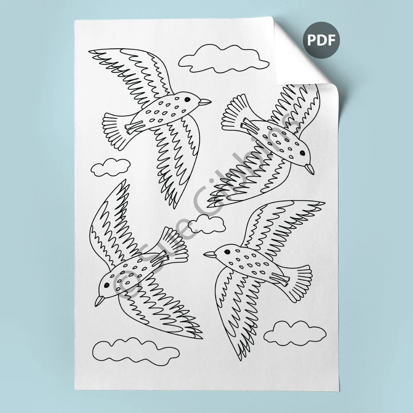 A4-Colouring-Page-corner_Sea-Birds.jpg