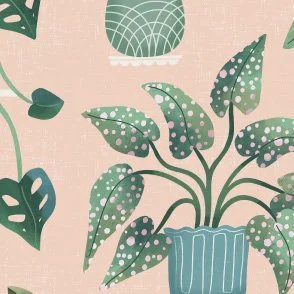 Plant Shelves - Peachy & Green - Biophilic Indoor Houseplant Garden by Rocket & Indigo