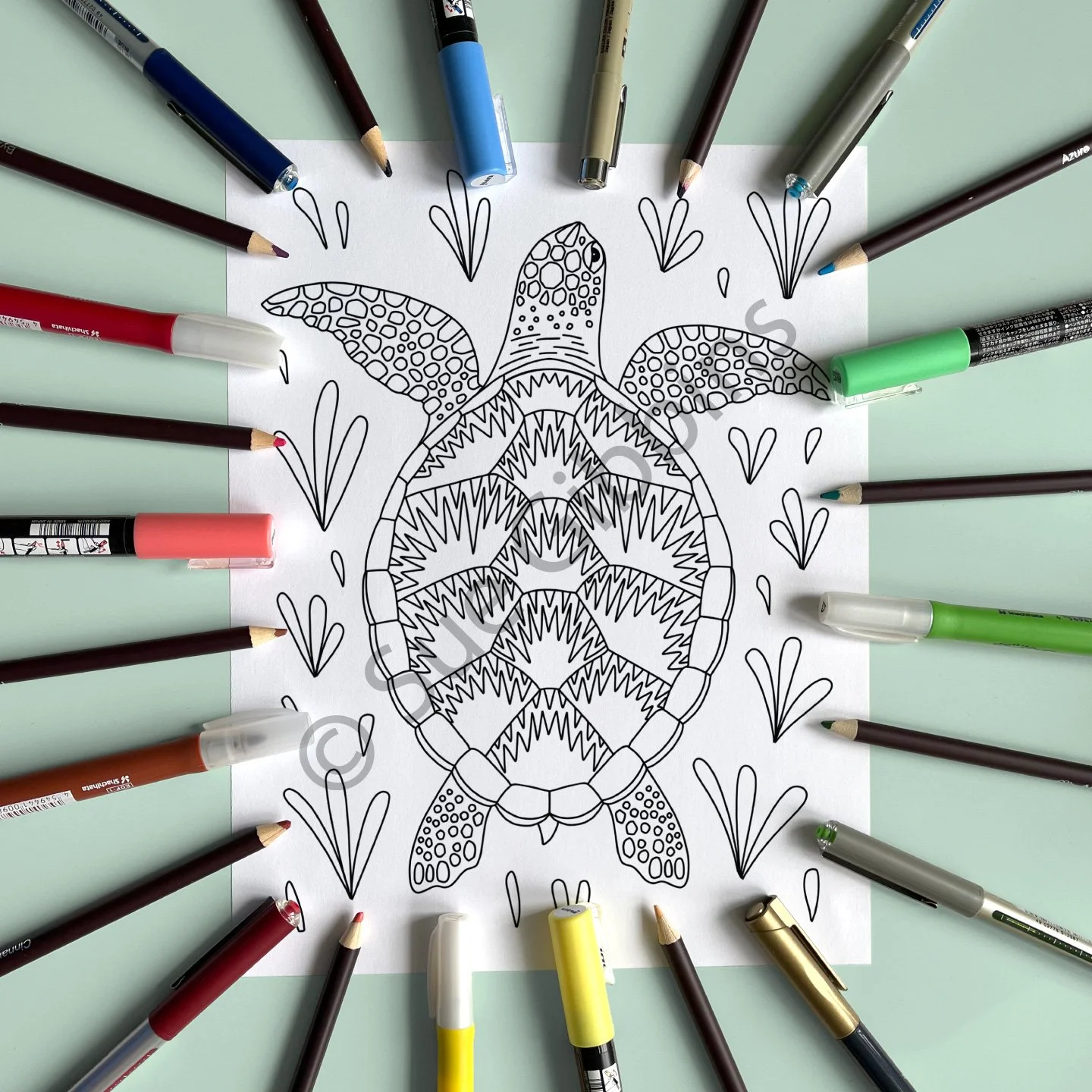US-PencilPen-Coloring_Turtle.jpg