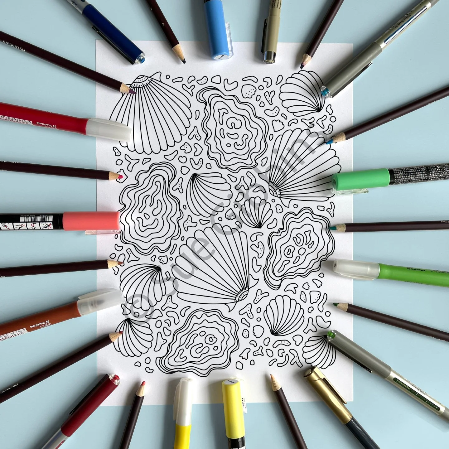 A4-PencilPen-Colouring_Oyster-Shells.jpg