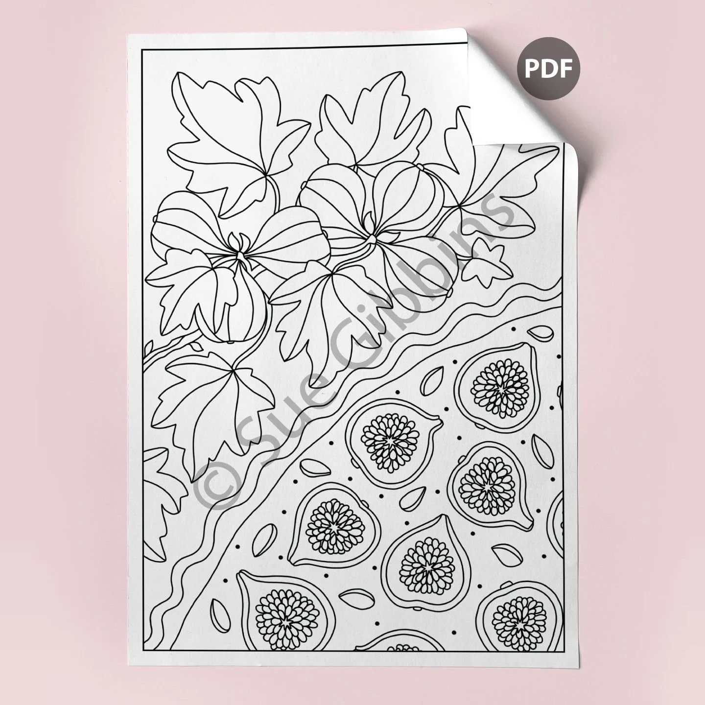 A4-Colouring-Page-corner_Fig-Tart.jpg