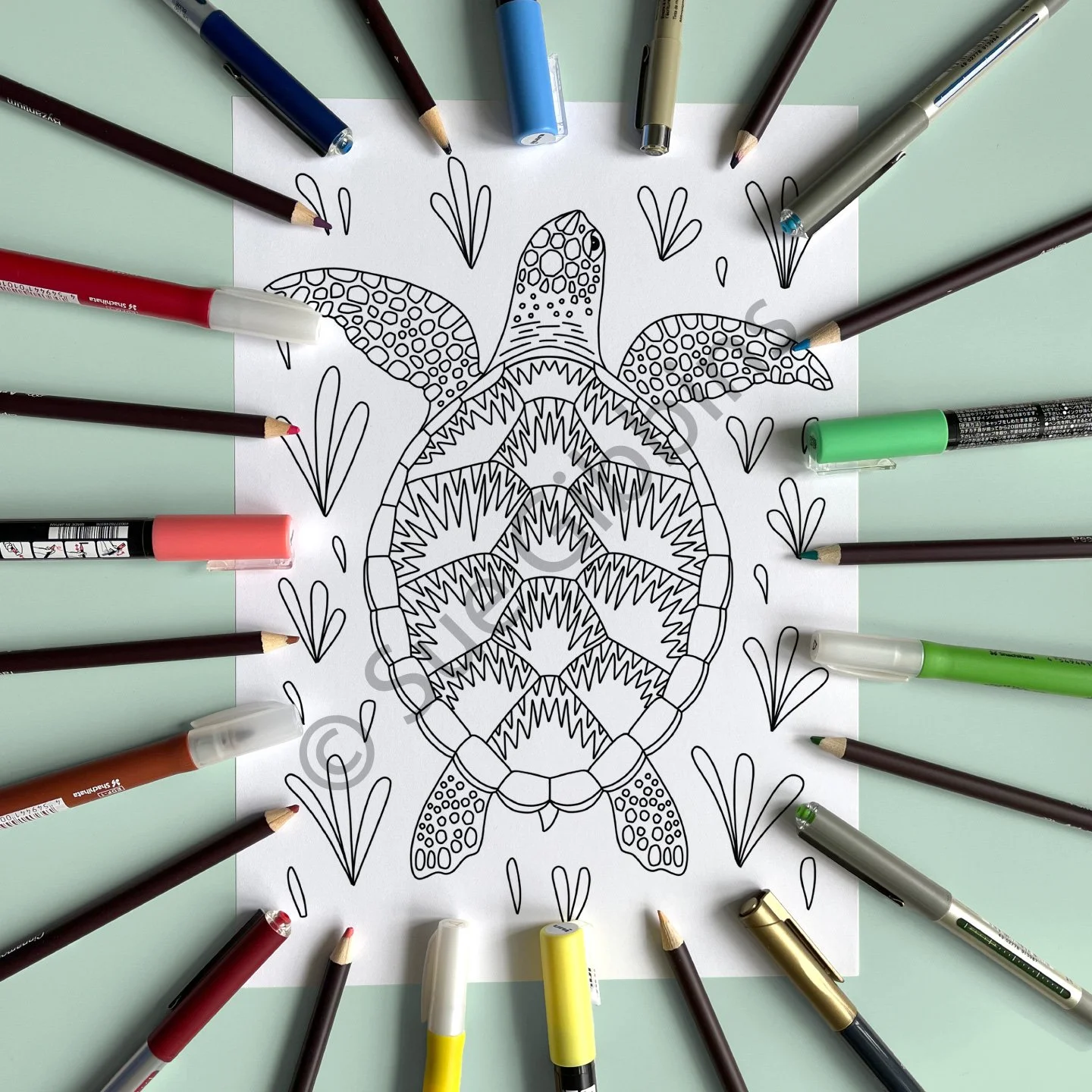 A4-PencilPen-Colouring_Turtle.jpg