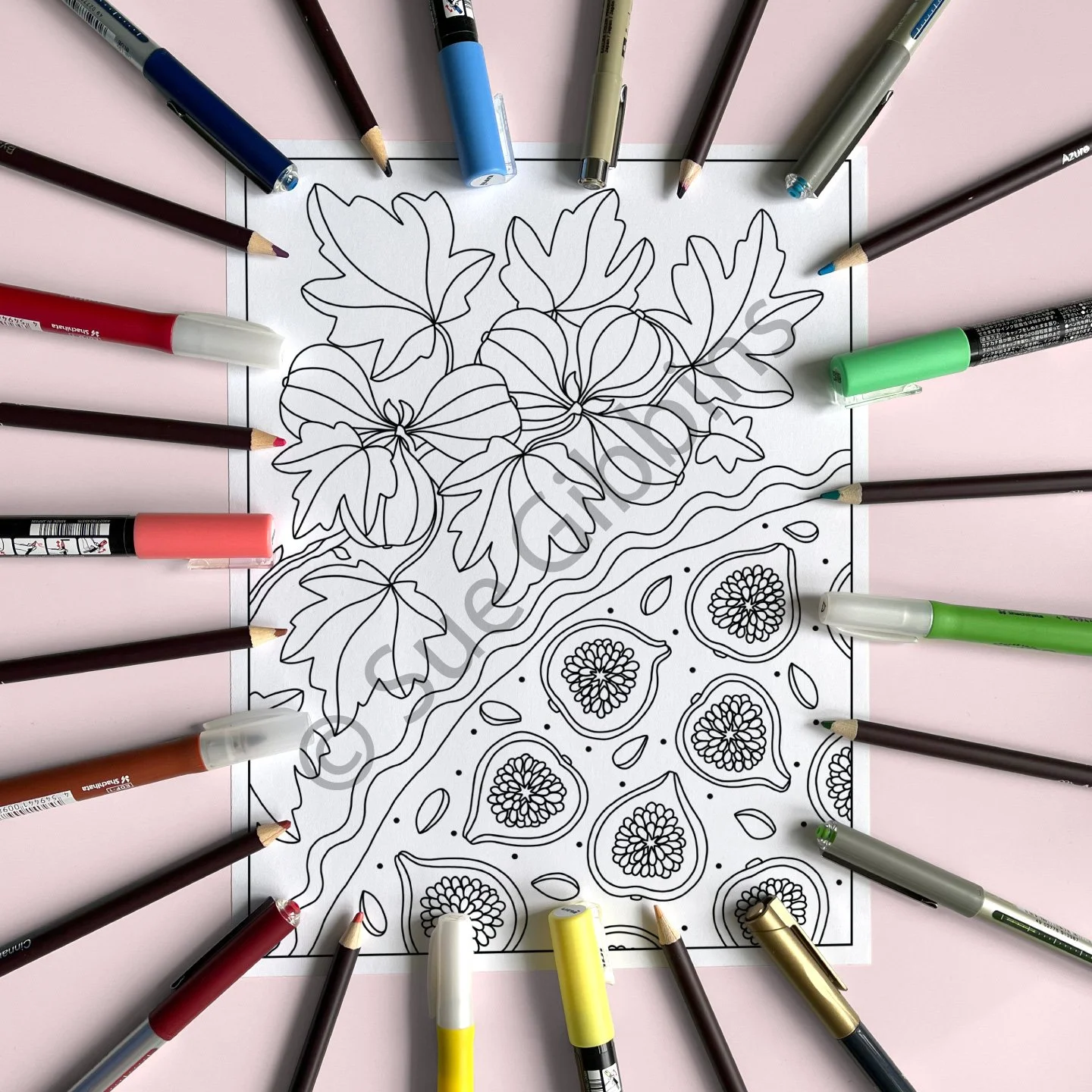 US-PencilPen-Coloring_Fig-Tart.jpg