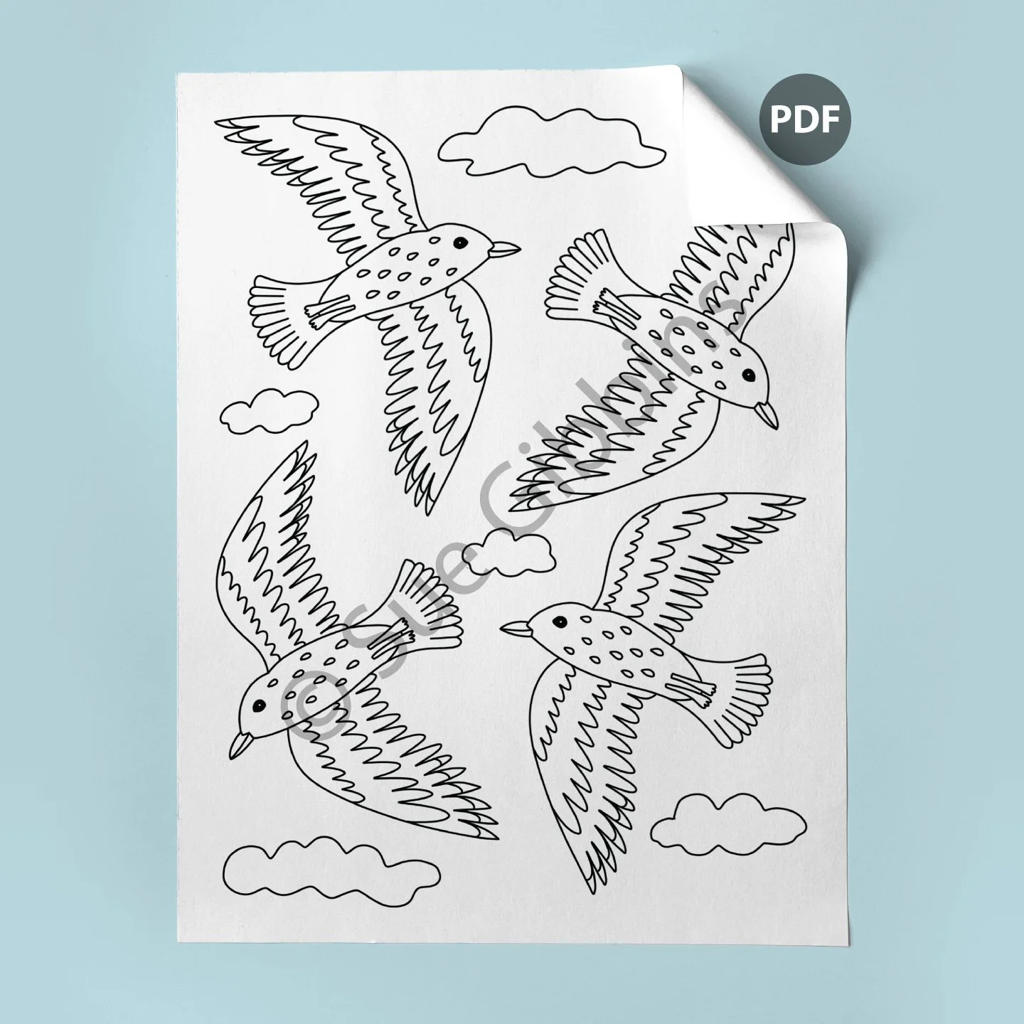 US-Coloring-Page-corner_Sea-Birds.jpg