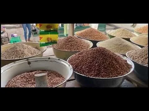 Kingseyes - Eat What You Grow (Official Music Video)