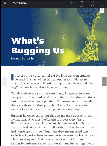 Leveled Text sample.gif