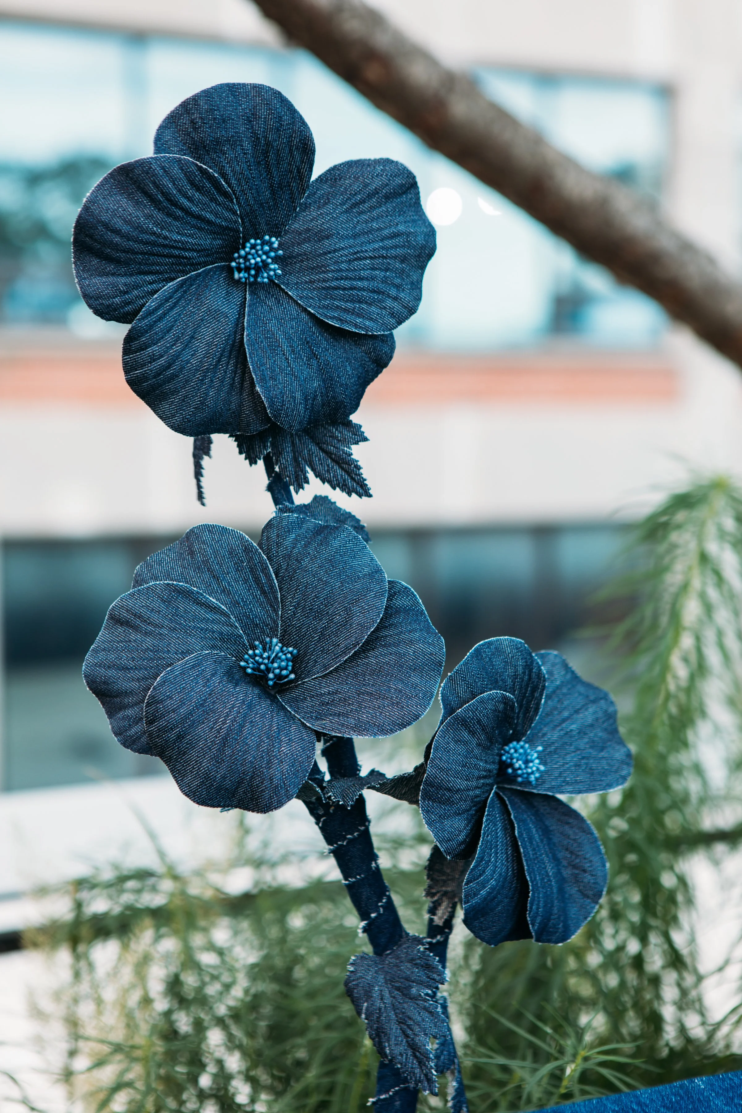 AmericanEagle_Highline-25.jpg