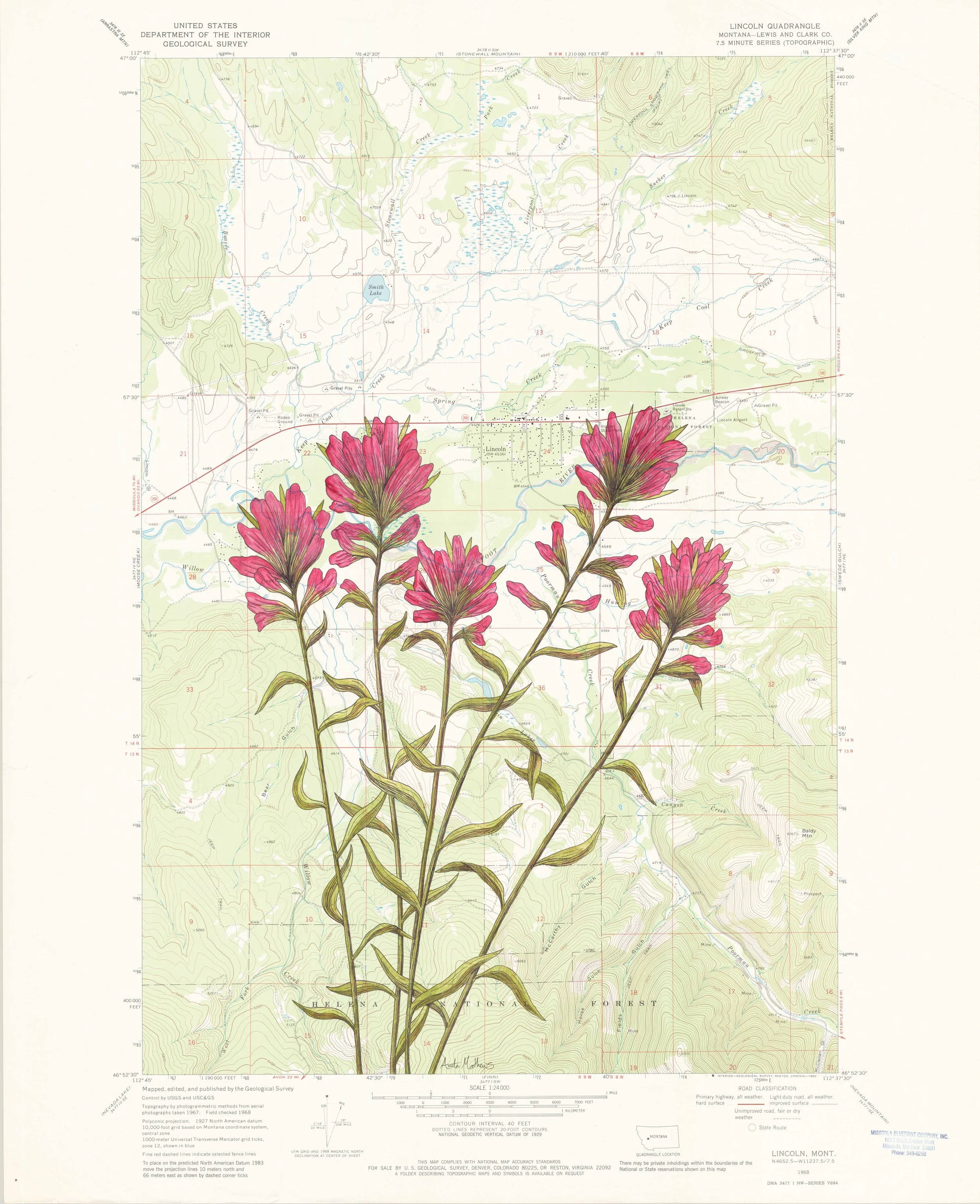 Wild Beauty - Lincoln, MT - AVAILABLE by Request