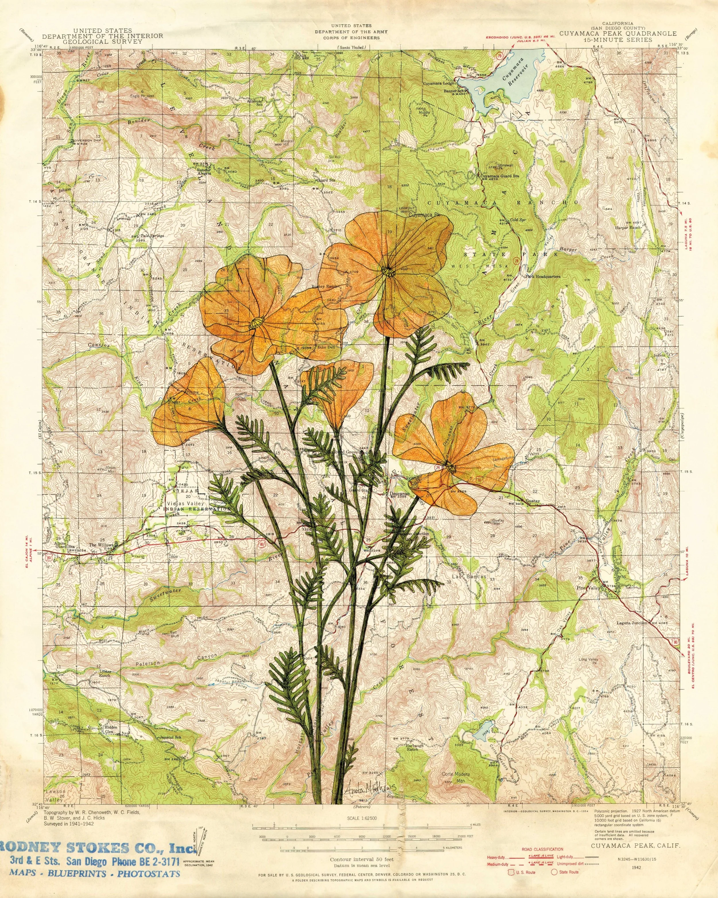 The Peak - Near San Diego, CA - AVAILABLE by Request