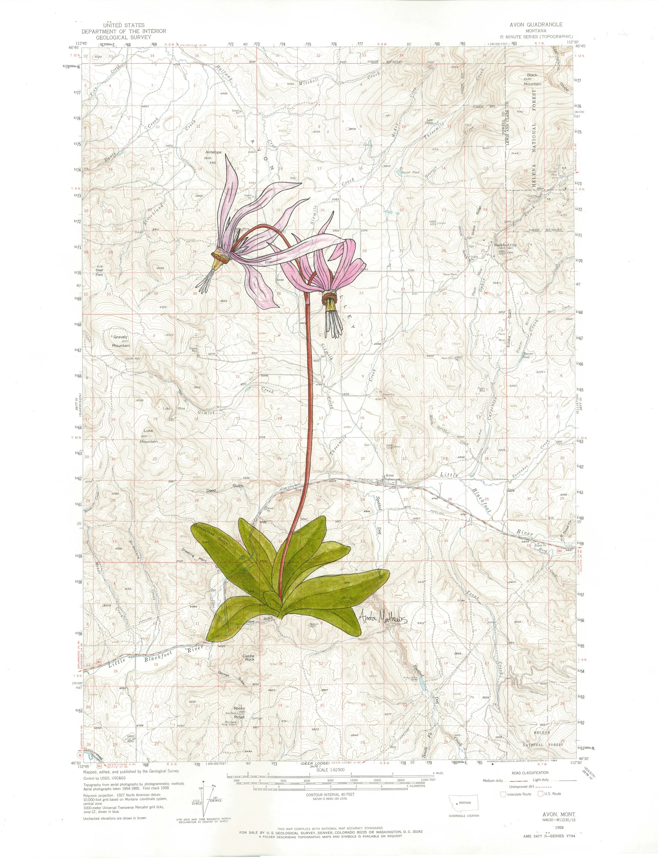 Star Dust Reproduction Print - Avon, MT