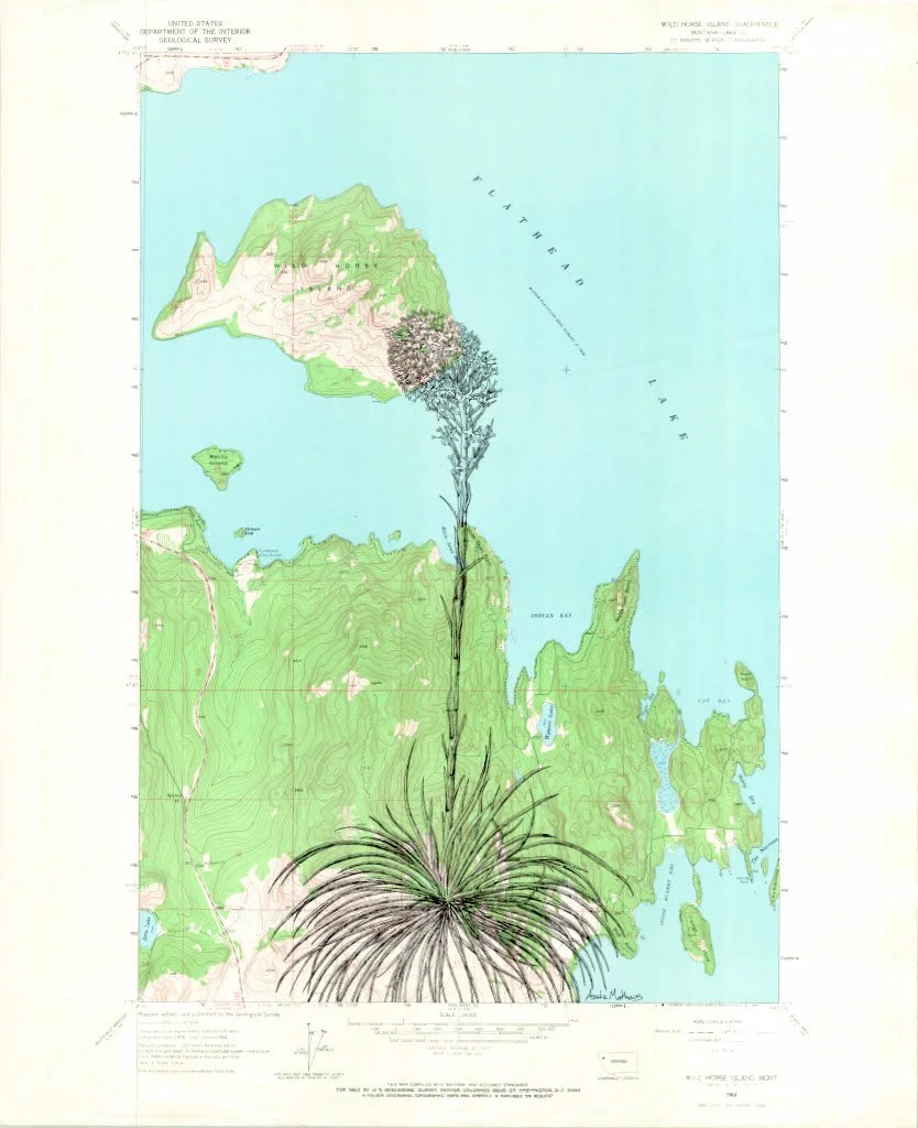 Wild Horse Island Reproduction Print - Flathead Lake, MT