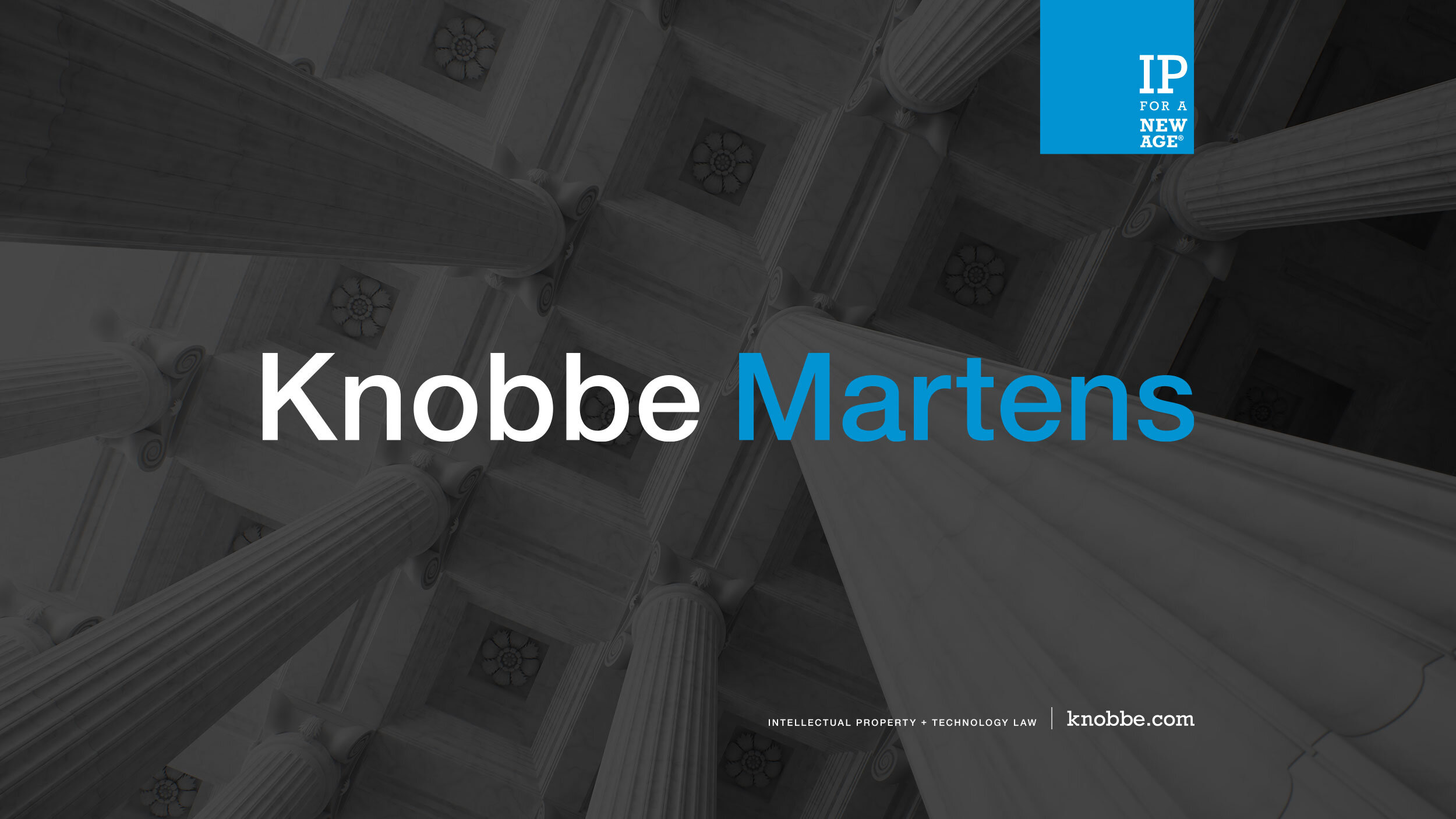 knobbe-martens-identity.jpg