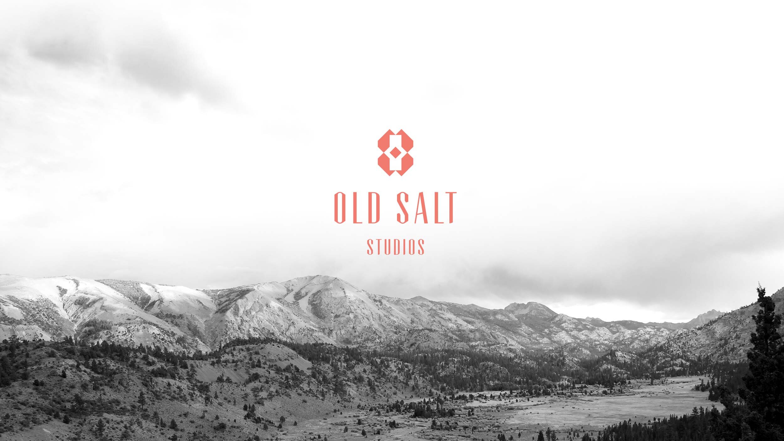 old-salt-studios-identity-02.jpg