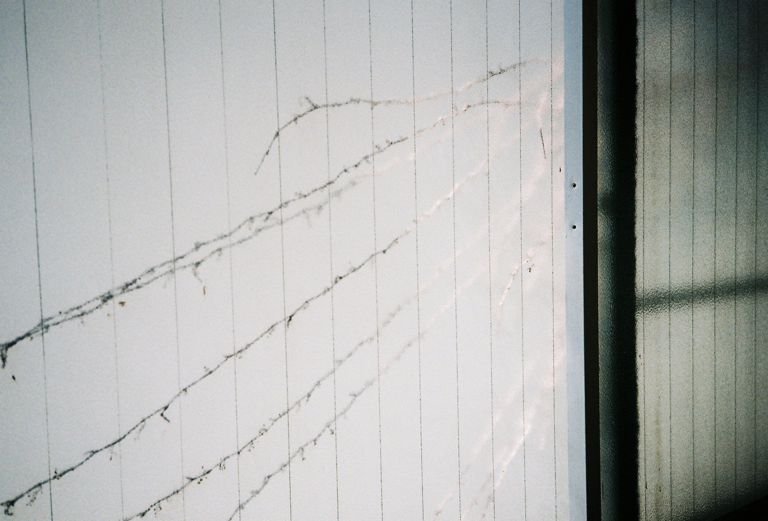 000064.JPG