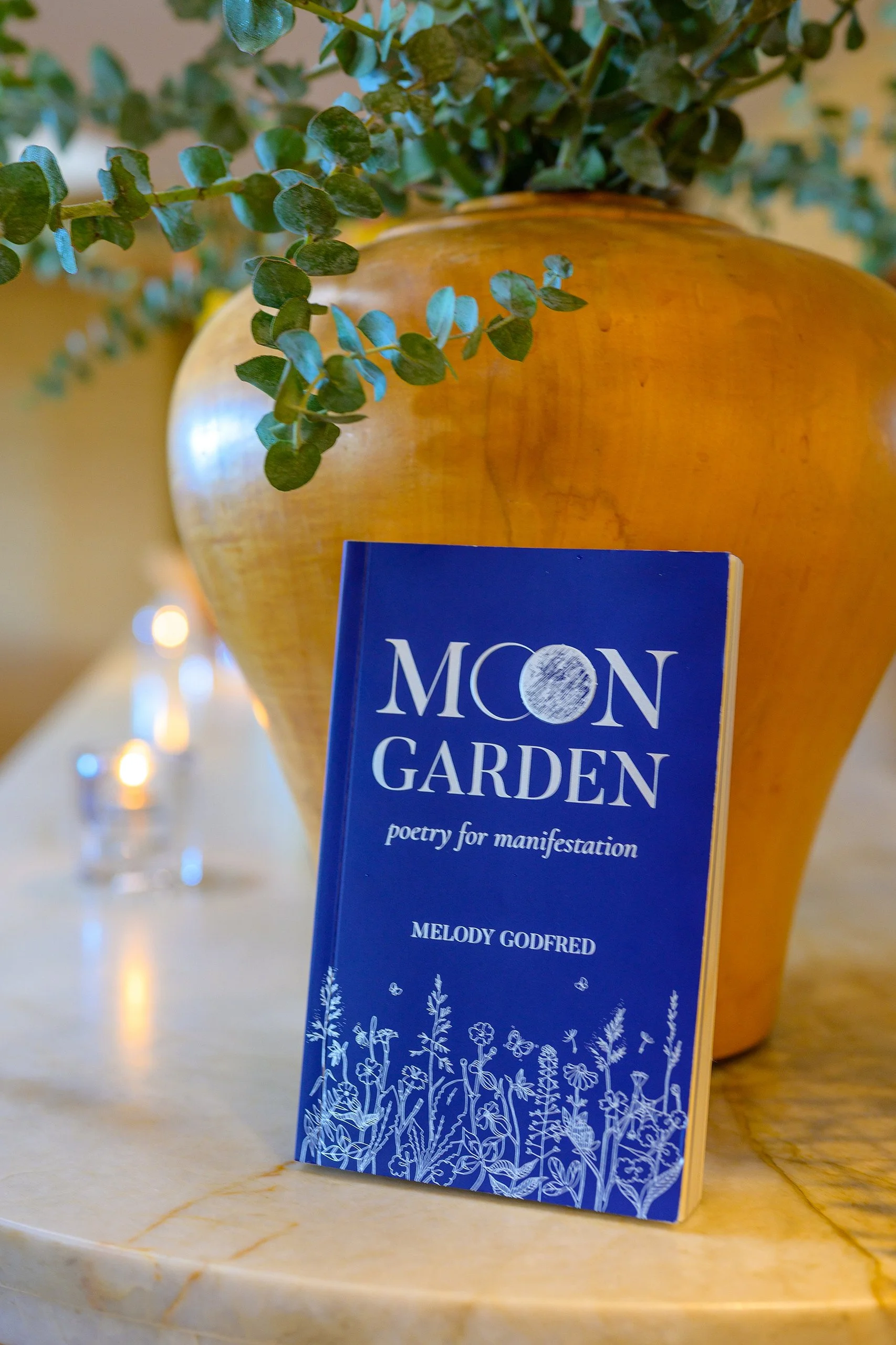 moongarden-13-2560.jpg
