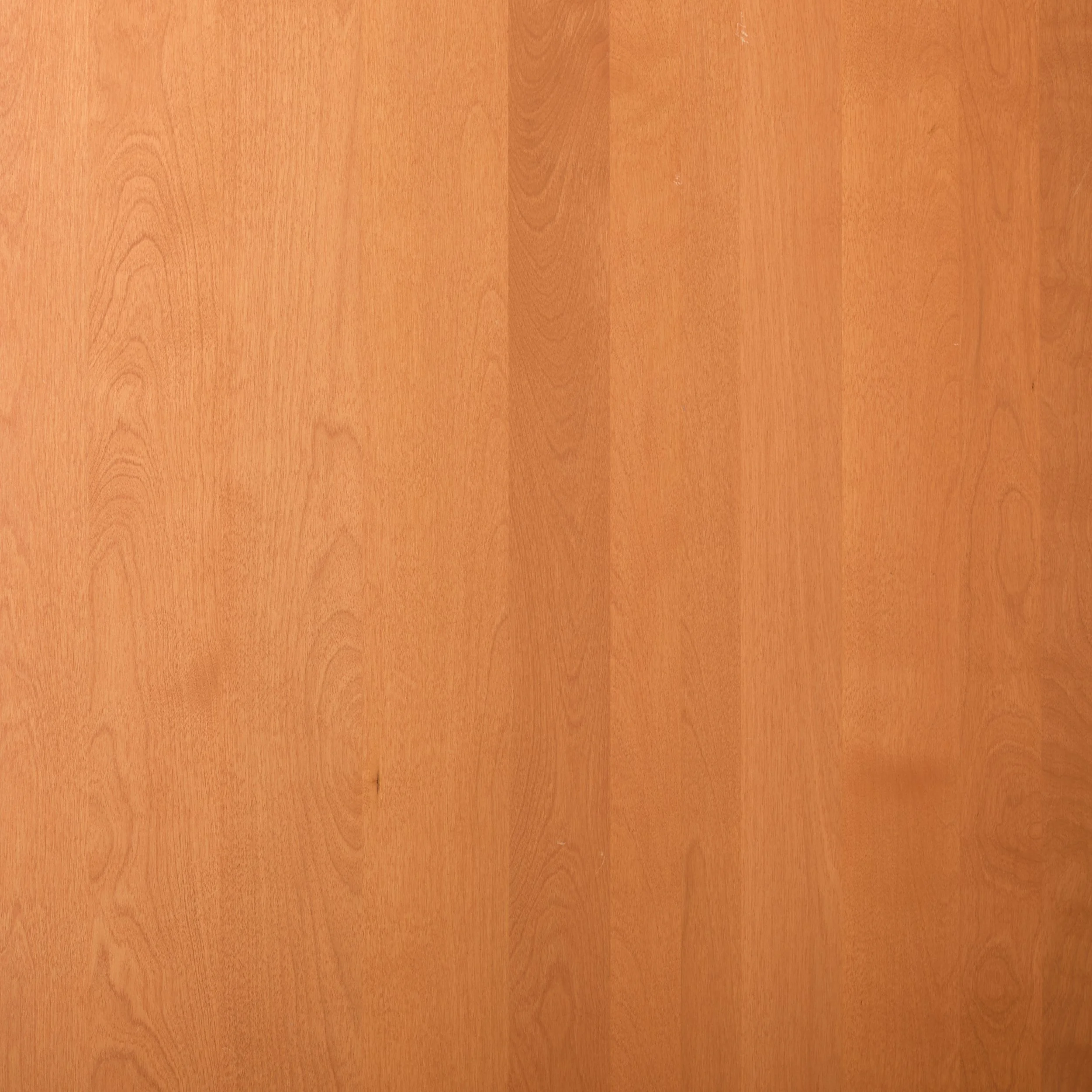 W141_29x48.5 detail.jpg