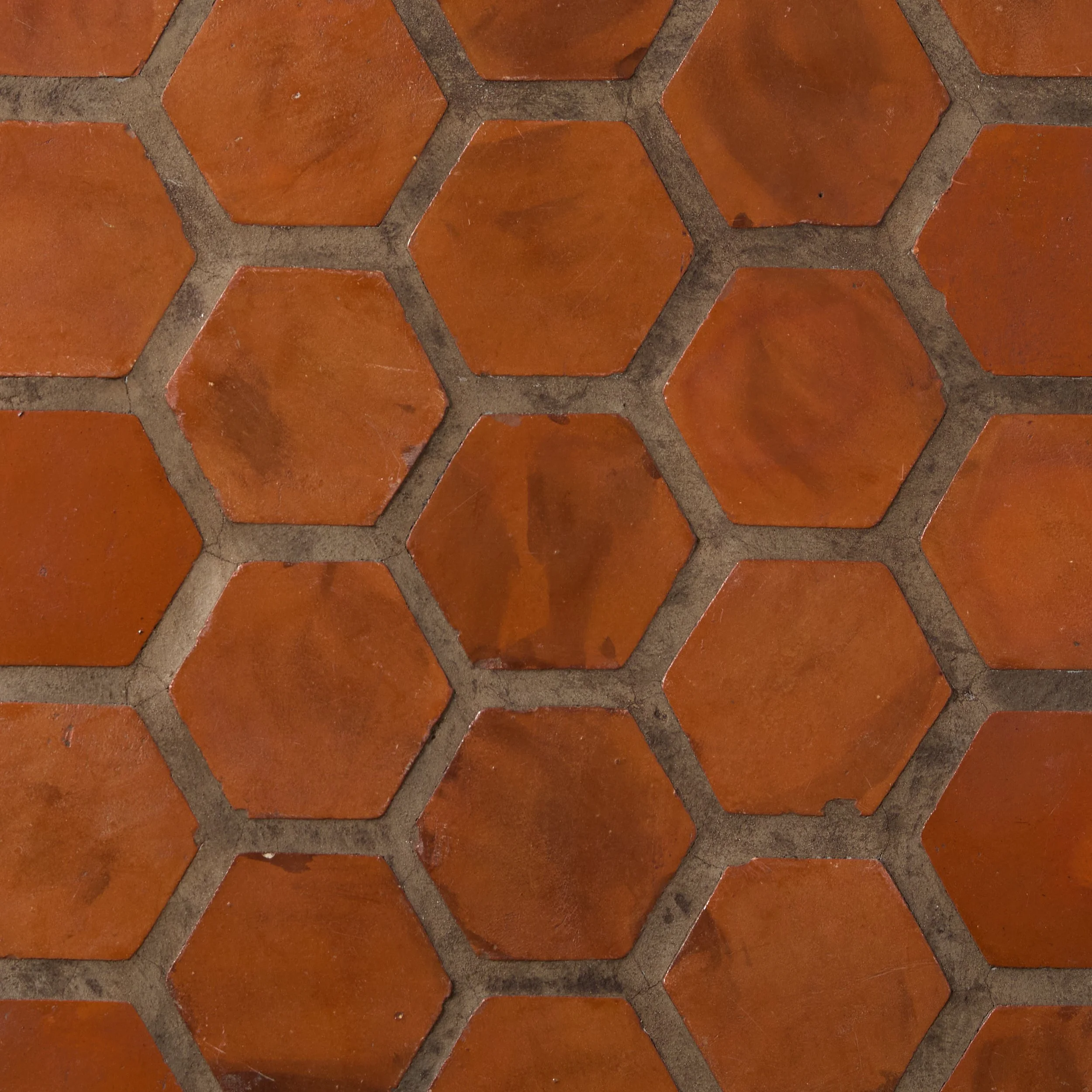 T029_26x36 detail.jpg