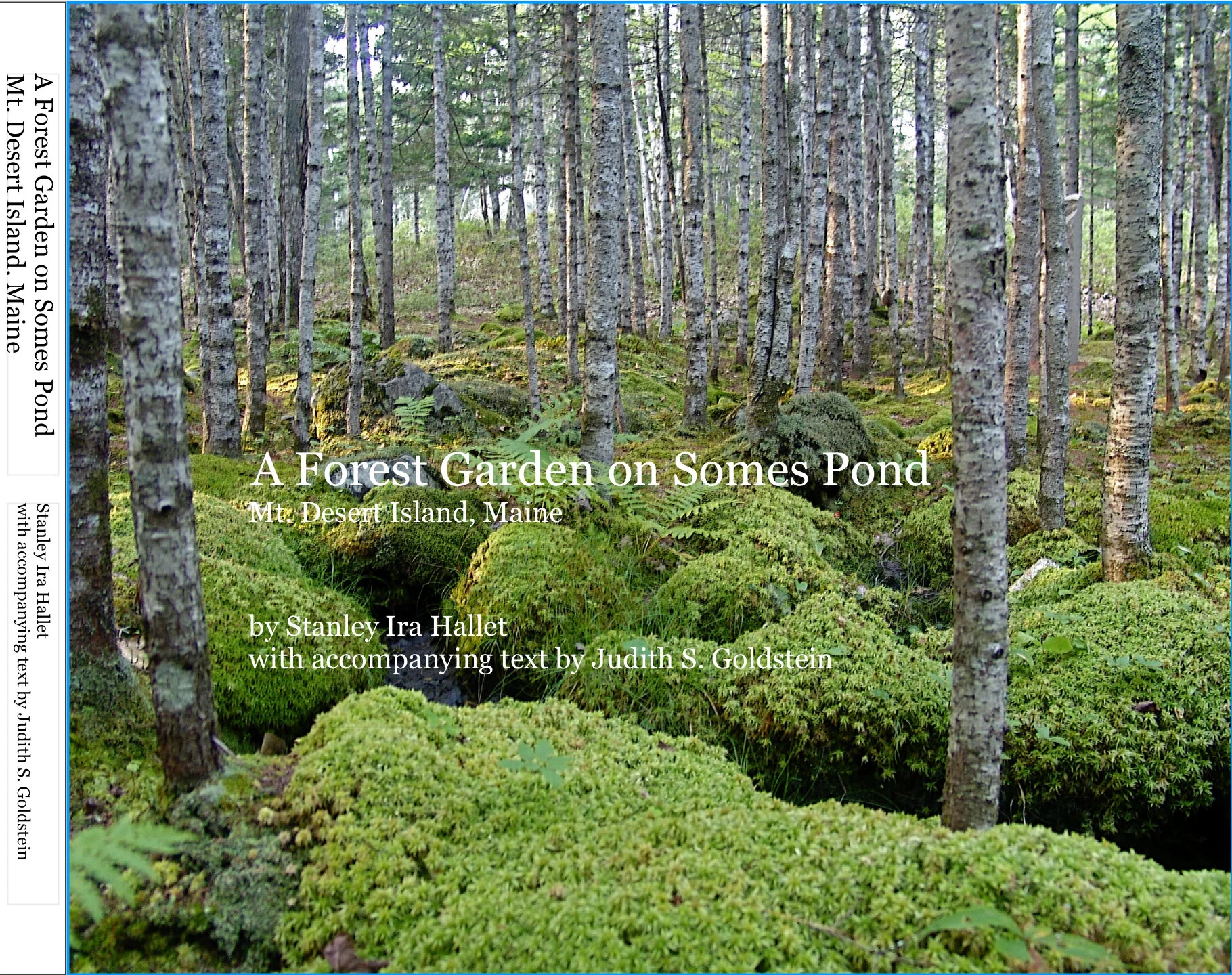 A Forest Garden on Somes Pond  Mt. Desert Island, Maine