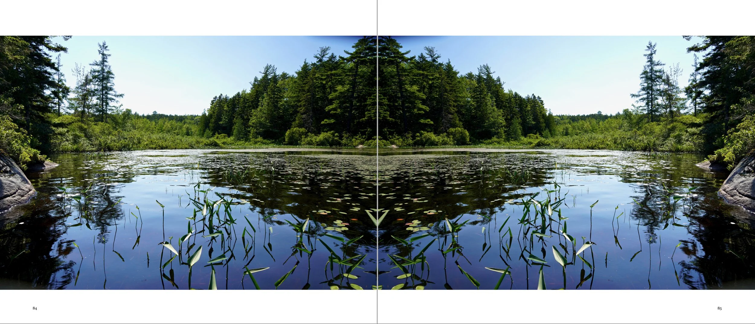 9 Closer Inspection.jpg