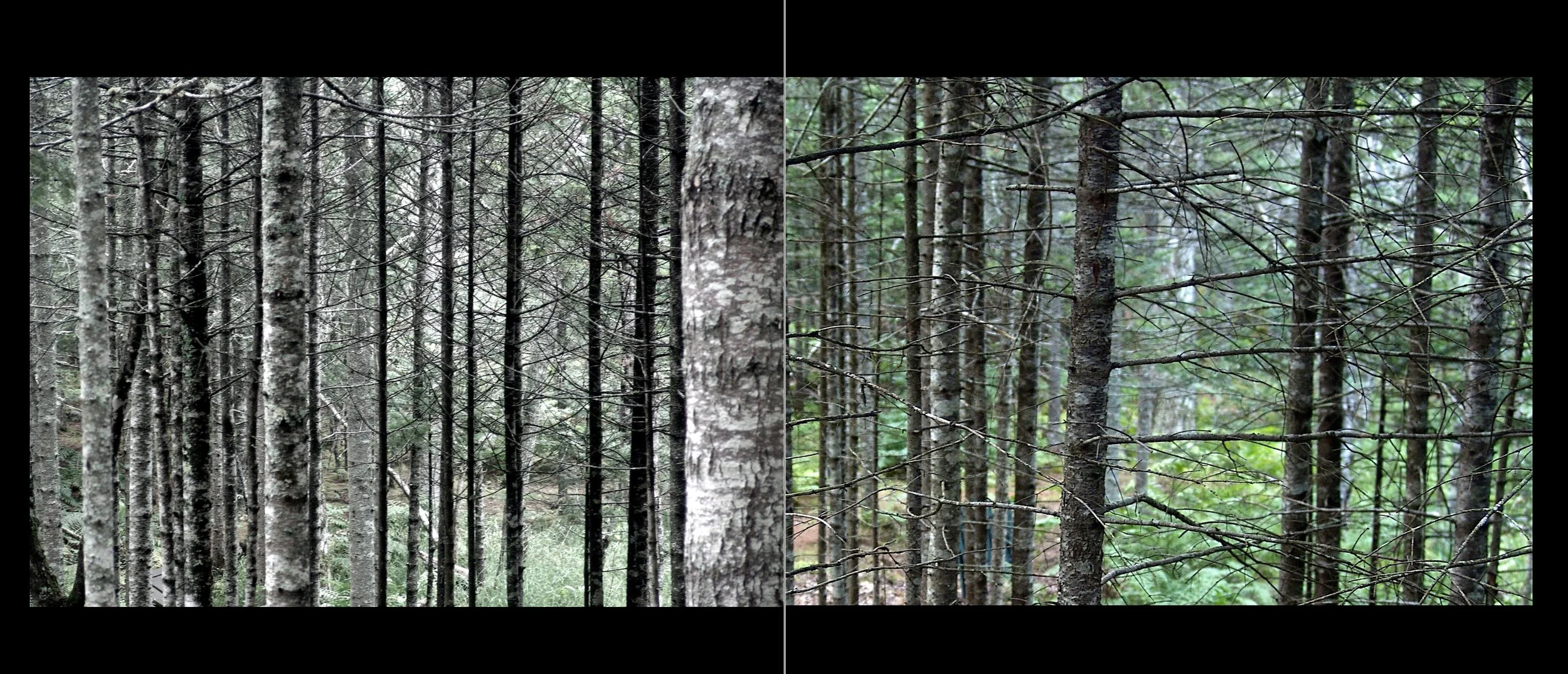13 Closer Inspection.jpg