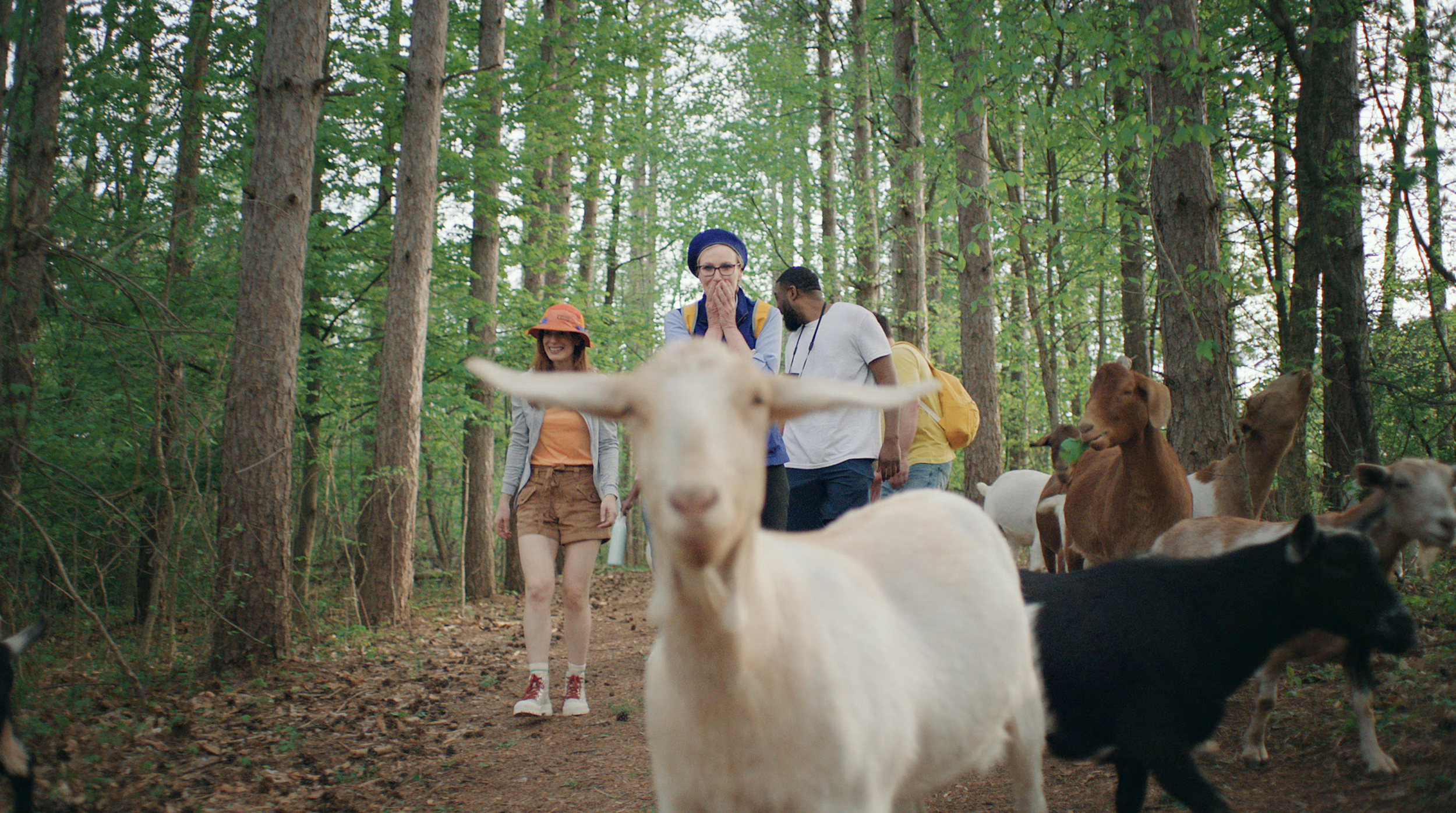 Screenshot 2024-03-09 at 6.12.17 PM.png