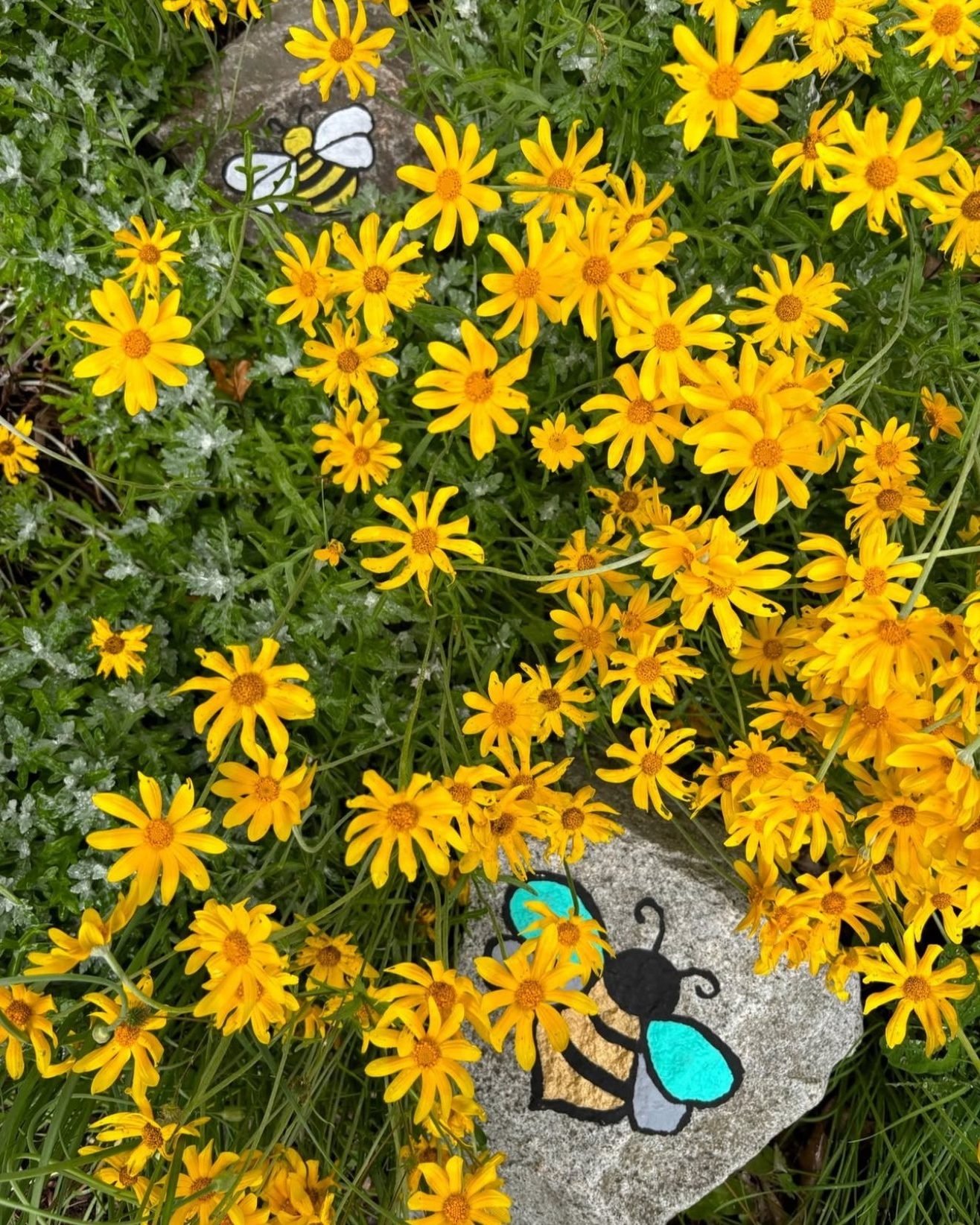 Repost from @townofcomox: Some bee-utiful news from the street 🐝🌼 We love seeing Beaufort Avenue bloom &mdash; and we&rsquo;re all for anything that helps support our pollinator pals. Can&rsquo;t wait to sip coffee and watch the bees go by! 💛 

.
