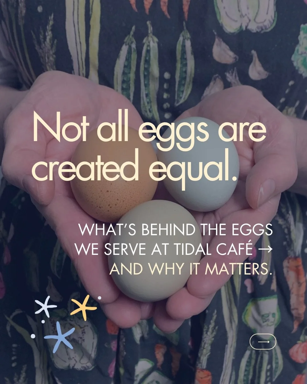 KNOW YOUR EGG. 🍳

Not all eggs are created equal.

Every egg we serve at Tidal comes from @springfordfarm in Nanoose Bay, a sixth-generation family farm where hens roam actual pasture (just 45 minutes from Comox!).

Because where your food comes fro