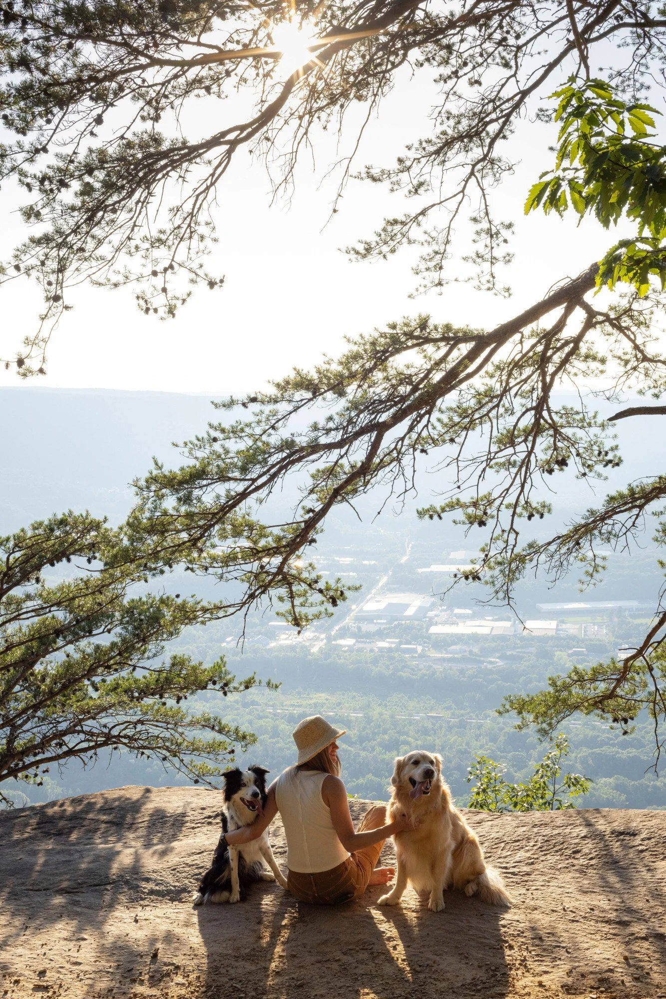 A woman with a hat sitting on a rock with two large dogs, one sitting and one lying down, on a hilltop with a cityscape and mountains in the background, trees framing the scene, during daylight.
