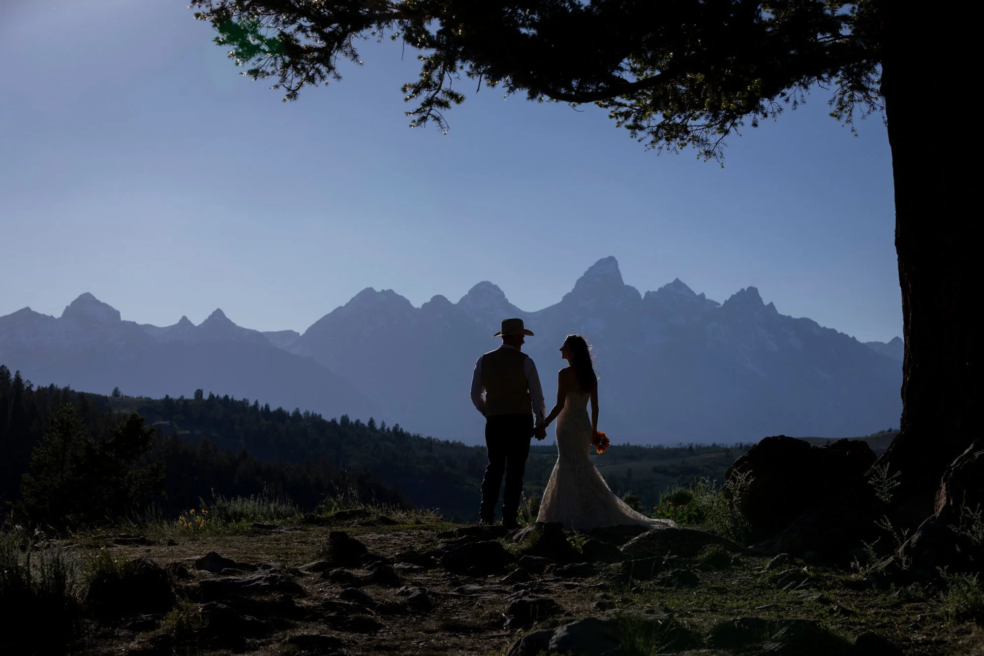 Silhouette of a couple holding hands near a tree, with mountain peaks in the background under a clear blue sky.