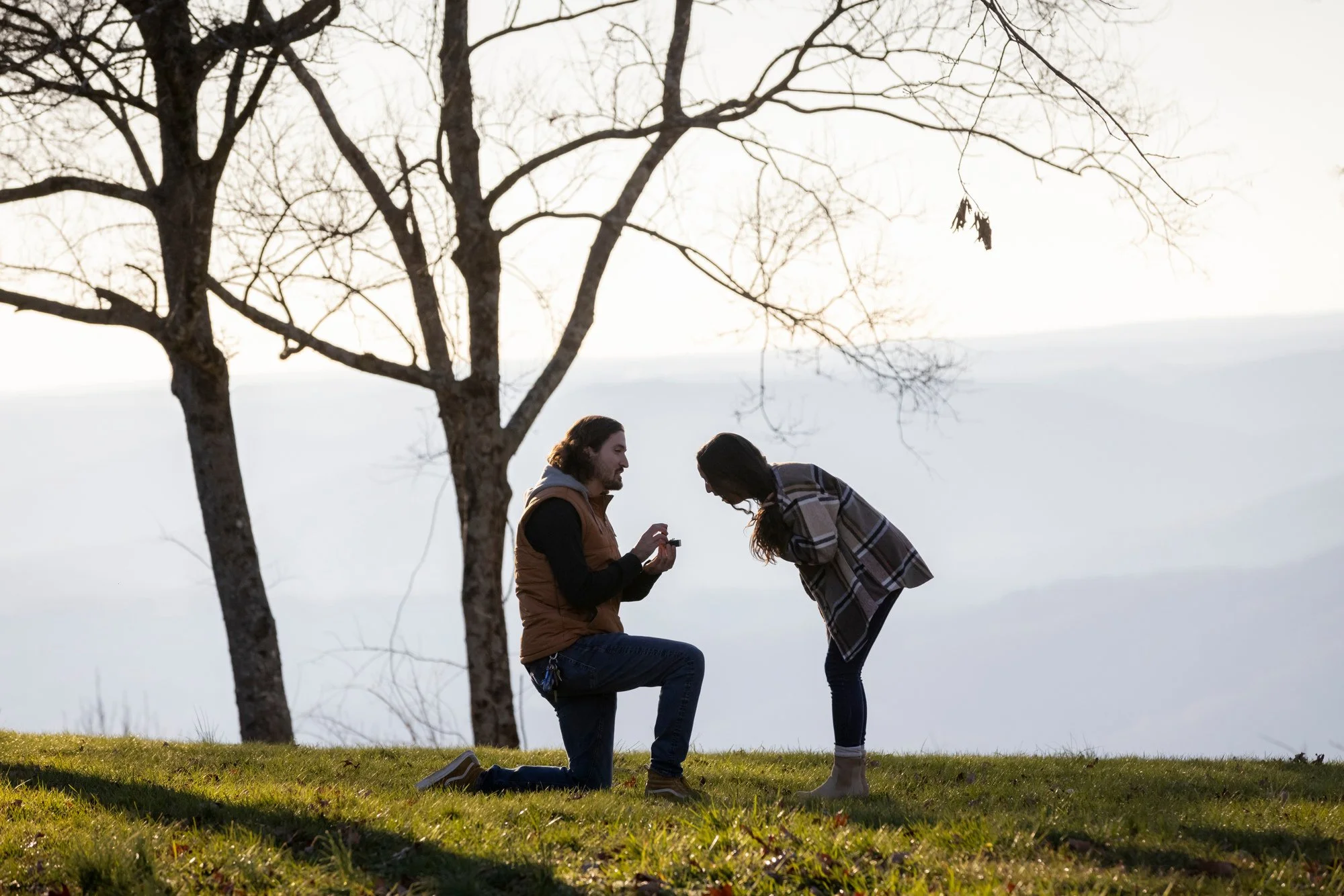 A man kneeling on the grass, proposing to a woman, with a tree and a lake in the background.