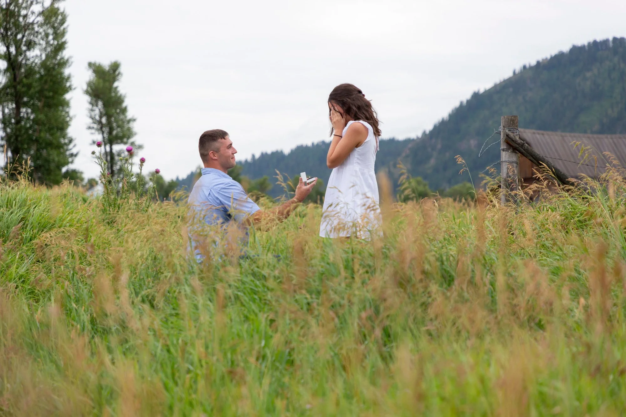 A man kneeling in a grassy field proposing to a woman who has her hands over her face, with a rural landscape and mountains in the background.