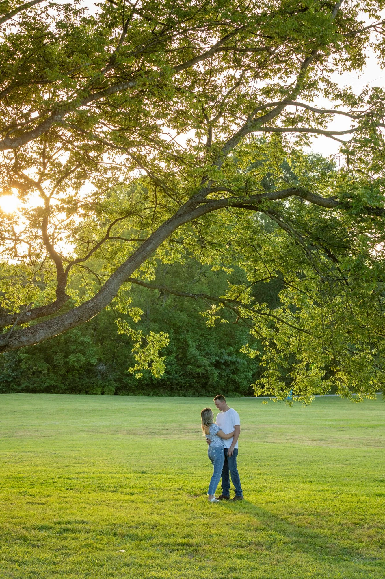 A couple stands close together on a grassy field, holding hands and looking into each other's eyes under a large tree with green leaves. The sun is setting, casting a warm glow and creating silhouettes of the couple and the lush background.