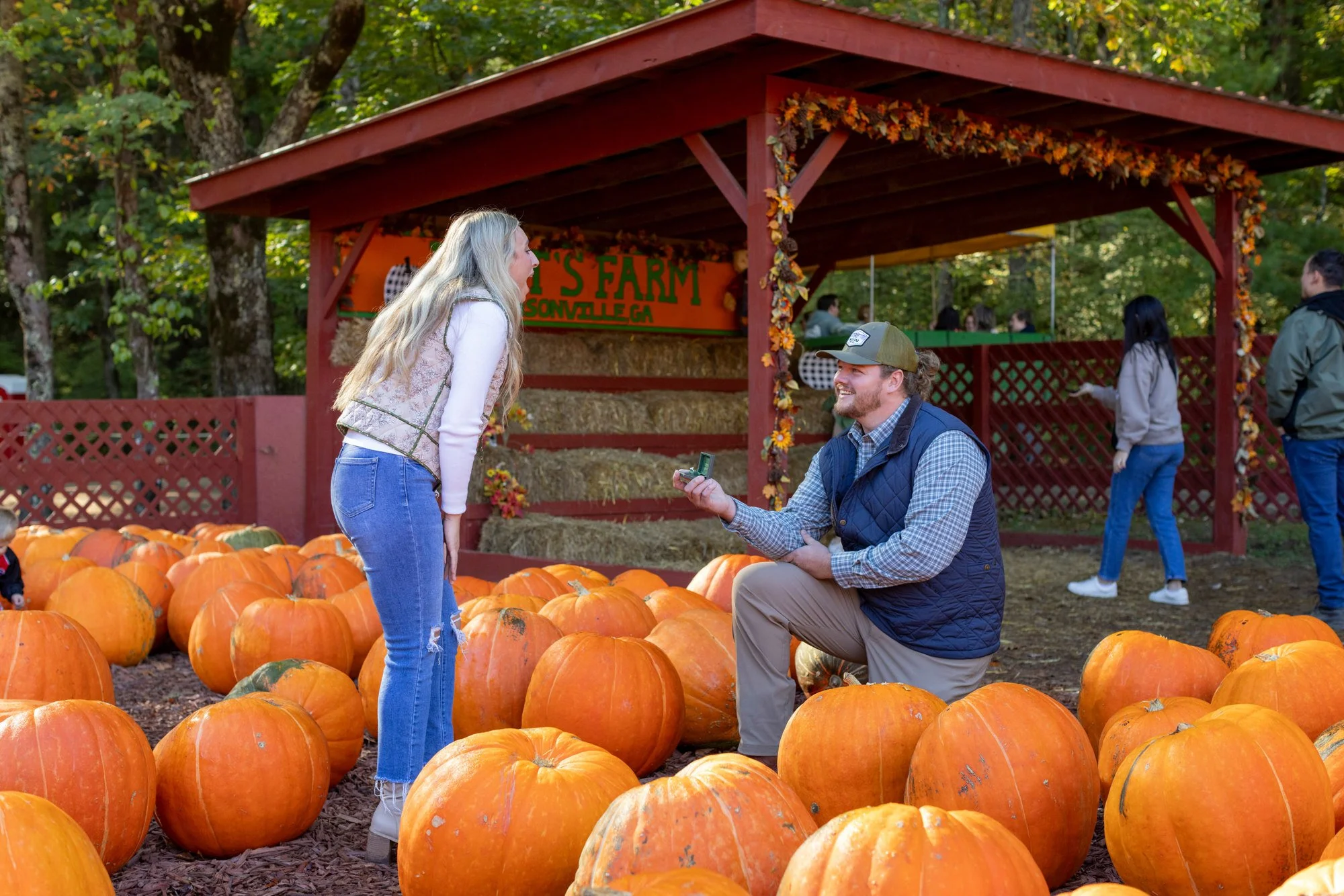 A man proposing to a woman among pumpkins at a fall farm with a barn and trees in the background.