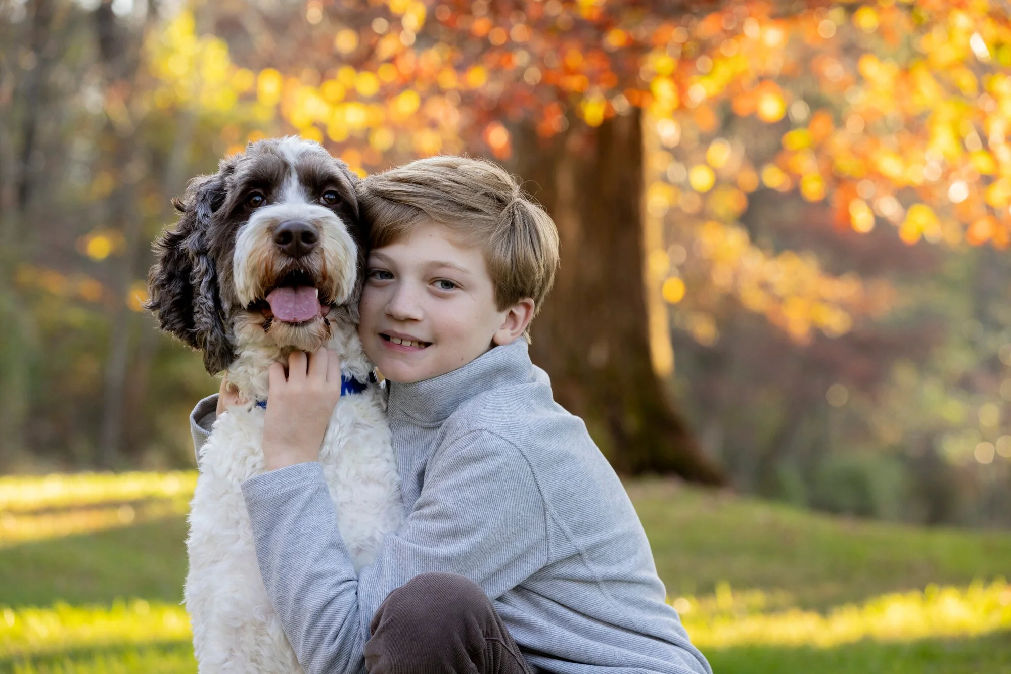 A boy hugging a dog outdoors during autumn, with colorful fall foliage in the background.