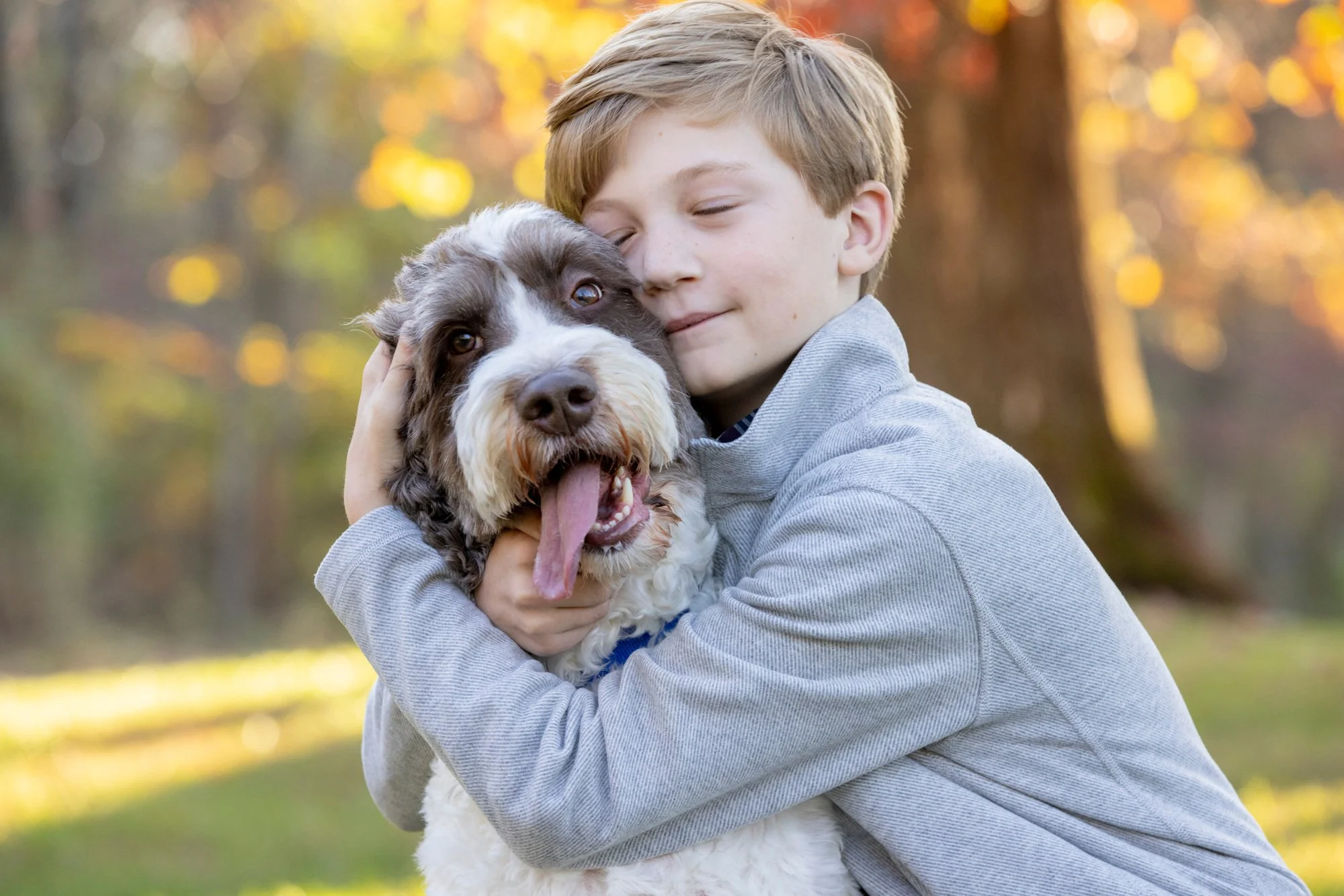 A young boy hugging a large, fluffy dog outdoors with autumn-colored trees in the background.