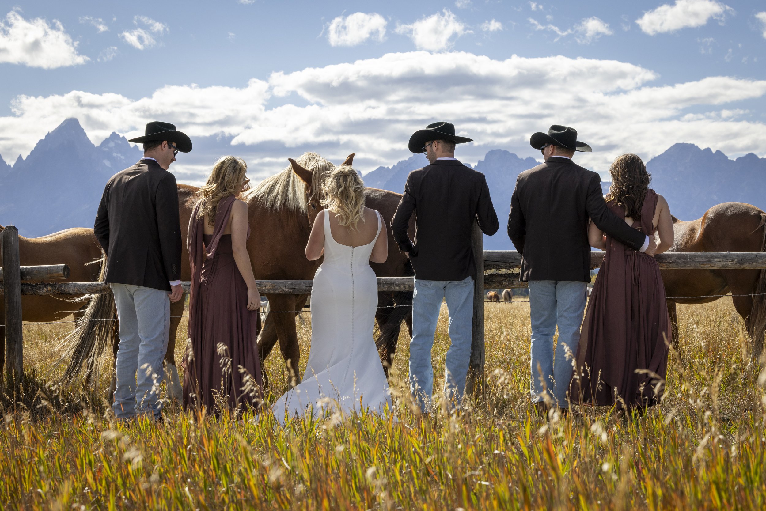 A wedding party with three men and three women standing near a fence with horses, mountains, and a cloudy sky in the background.