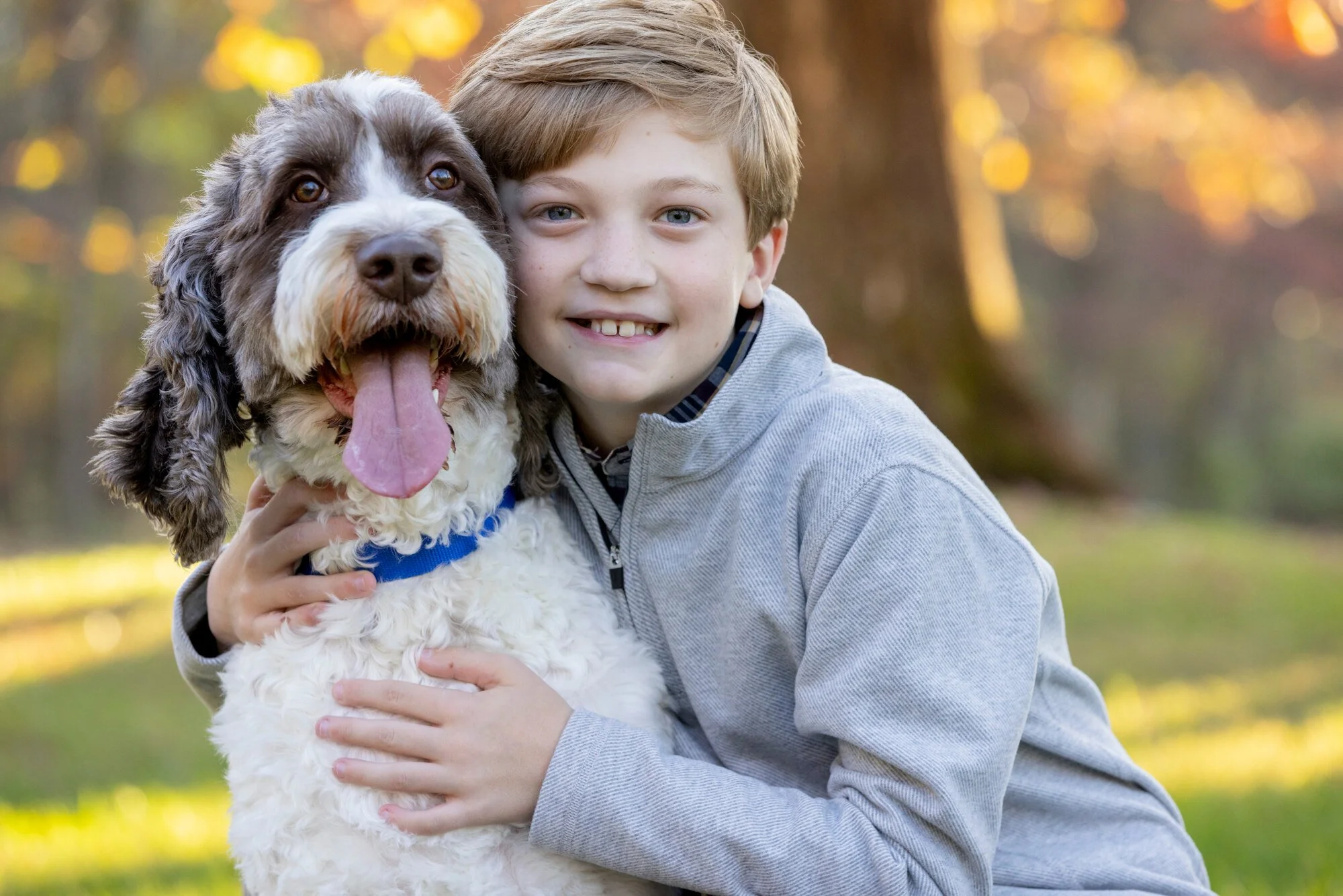 A boy with light brown hair and blue eyes smiling while hugging a large, fluffy, brown and white dog with its tongue hanging out, outdoors during autumn with blurred trees and golden light in the background.