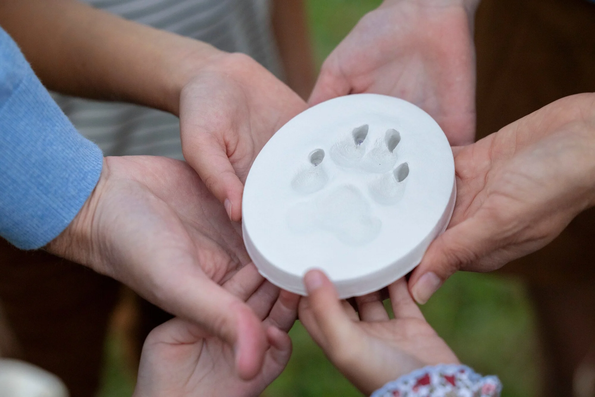 A group of people, including children and adults, holding a white eraser with a paw print impression pressed into it.