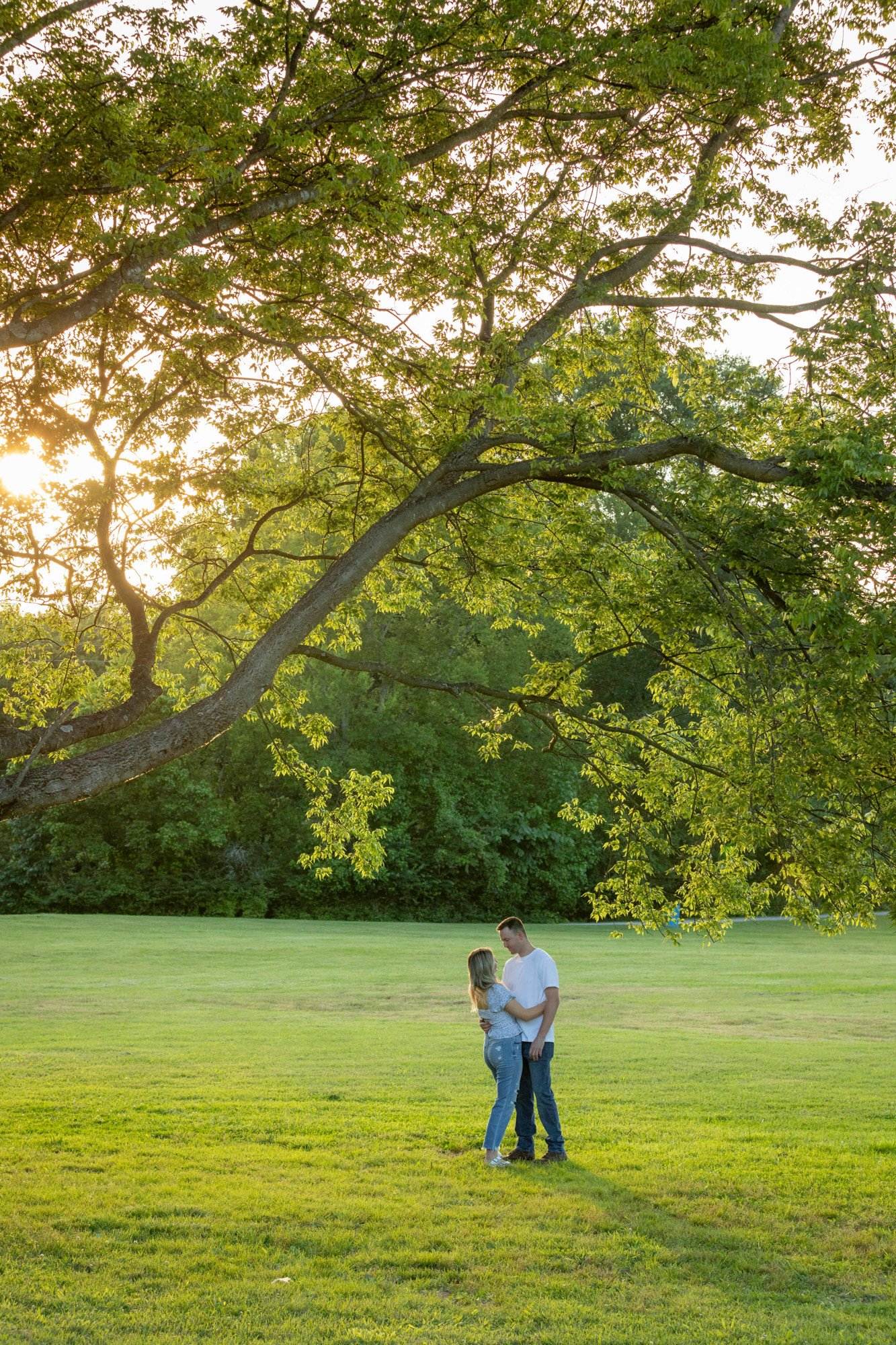 A couple stands close together on a grassy field under a large tree, with sunlight filtering through the leaves in the background.