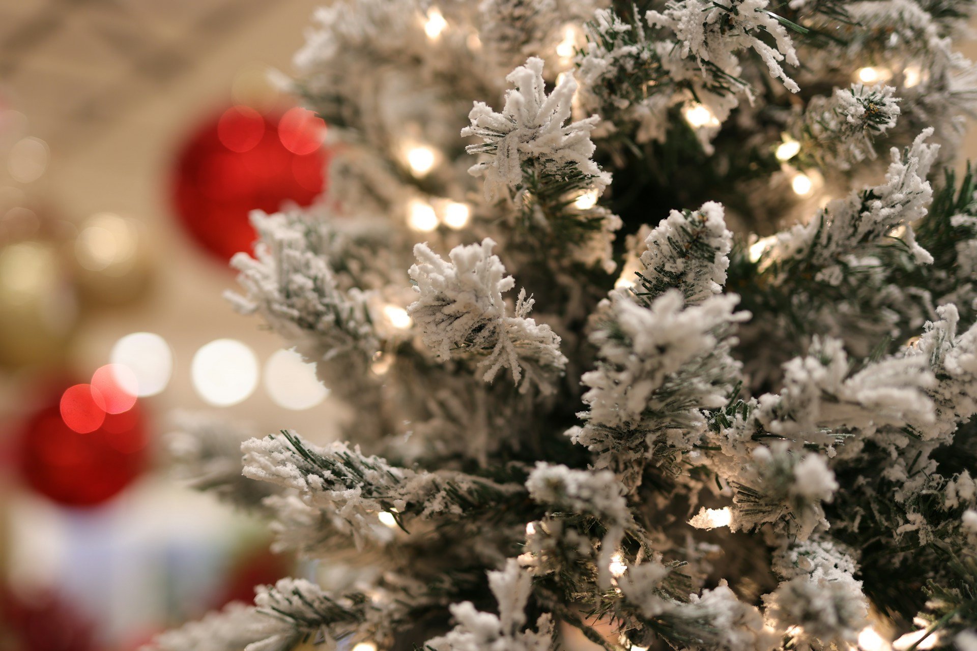 Soft Labor Data, Slow Disinflation, Fed Rate Cut, and New Market Highs