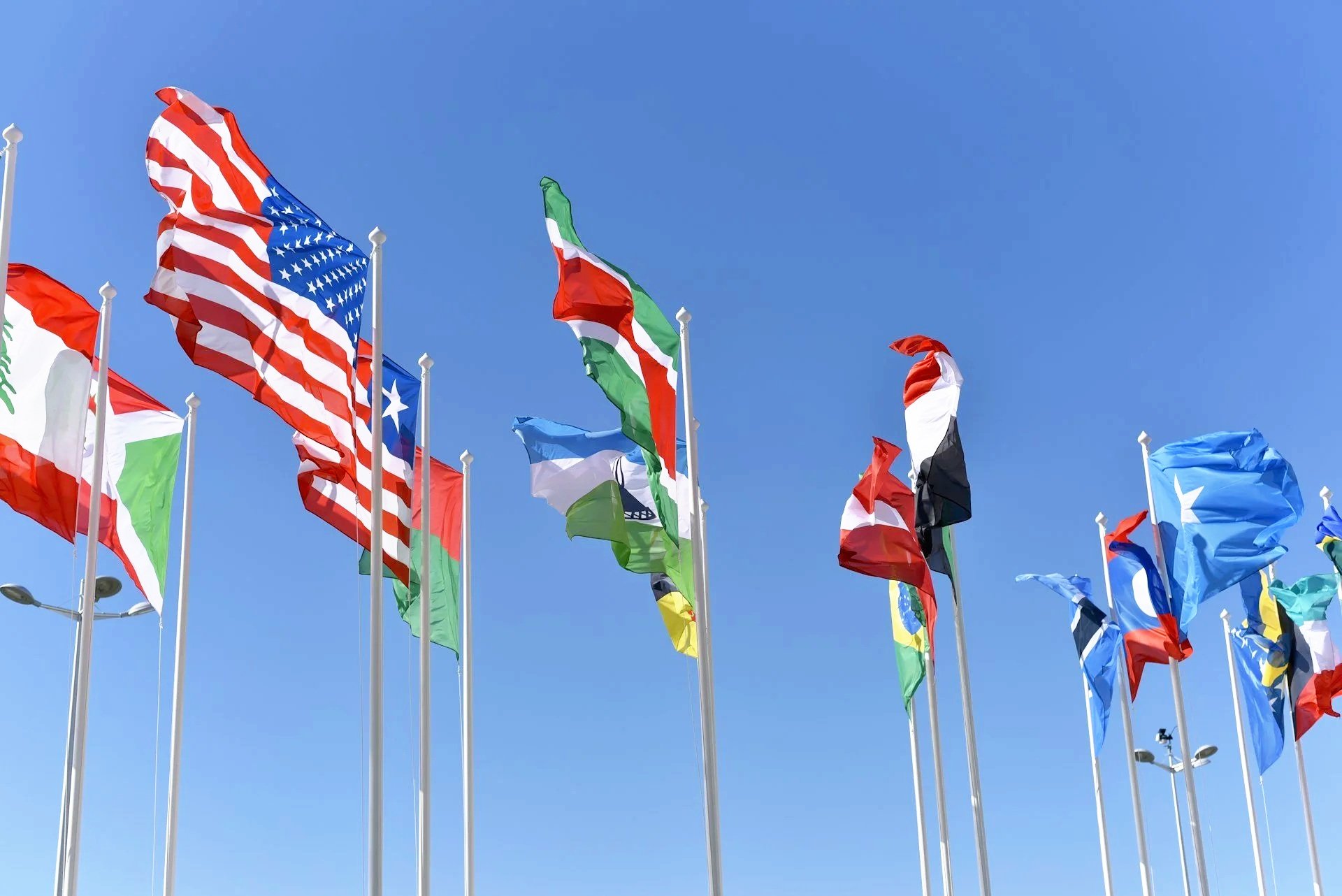 AI and Geopolitics Continue to Drive Markets