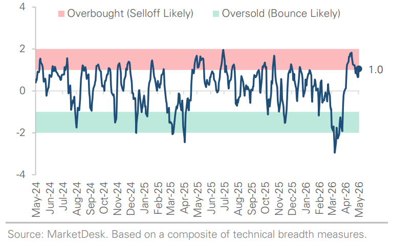 SP 500 Technical Composite