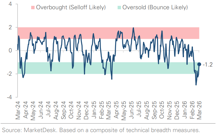 SP 500 Technical Composite